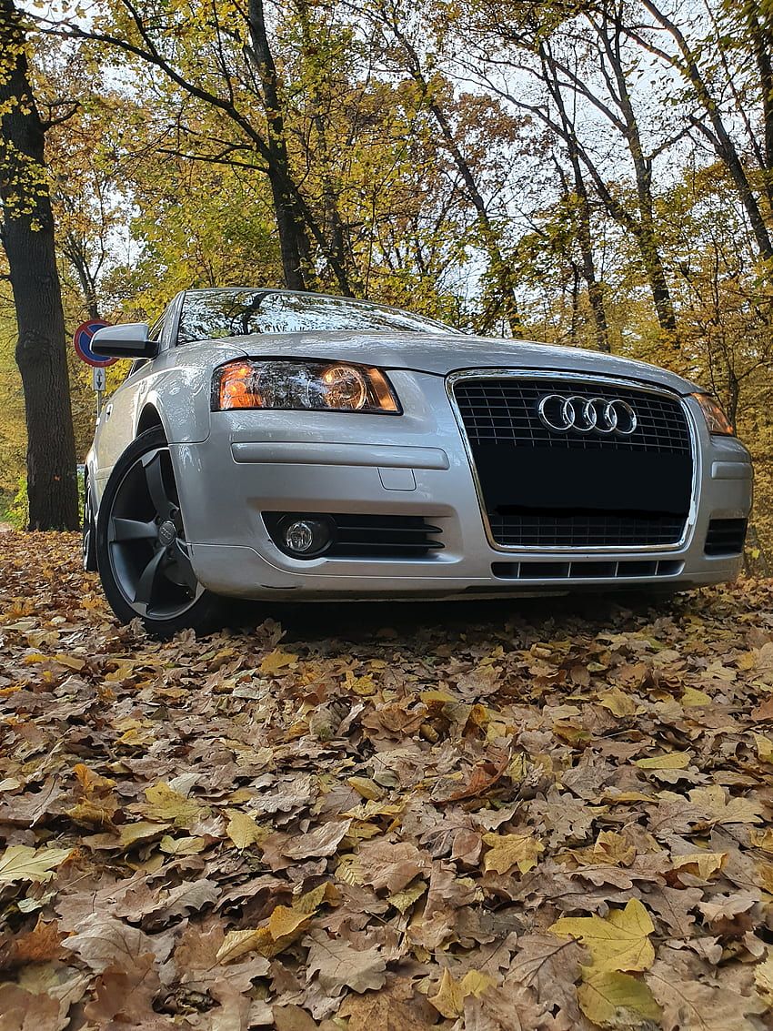850x1133 Audi A automotive lighting, automotive parking light HD phone wallpaper