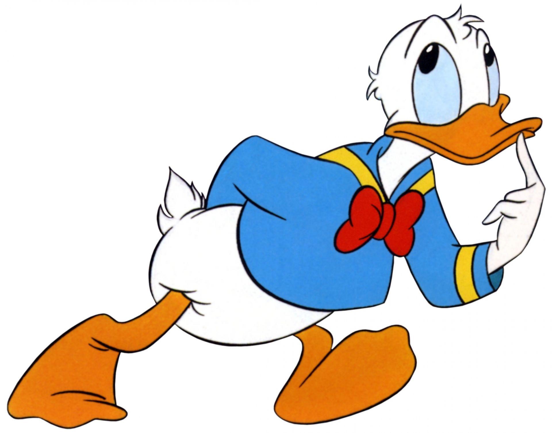 Cartoon Duck Wallpapers - Top Free Cartoon Duck Backgrounds ...