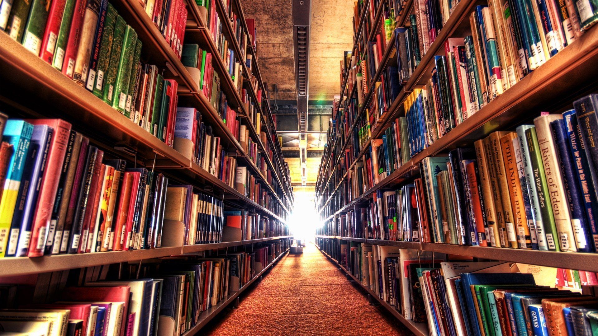 1920x1080 Endless Knowledge: HD Library Bookshelf Escape