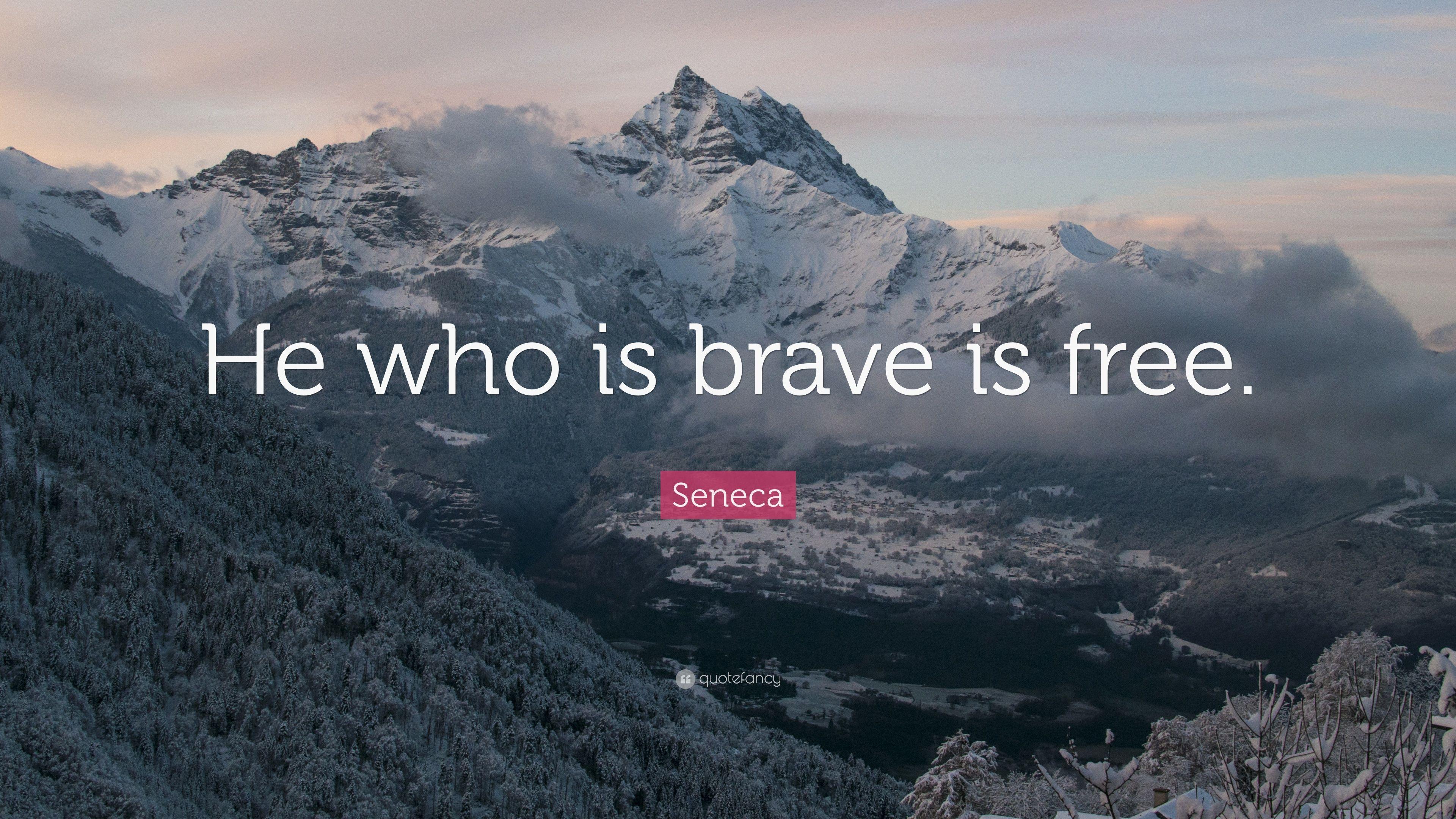 Seneca Wallpapers - Top Free Seneca Backgrounds - WallpaperAccess