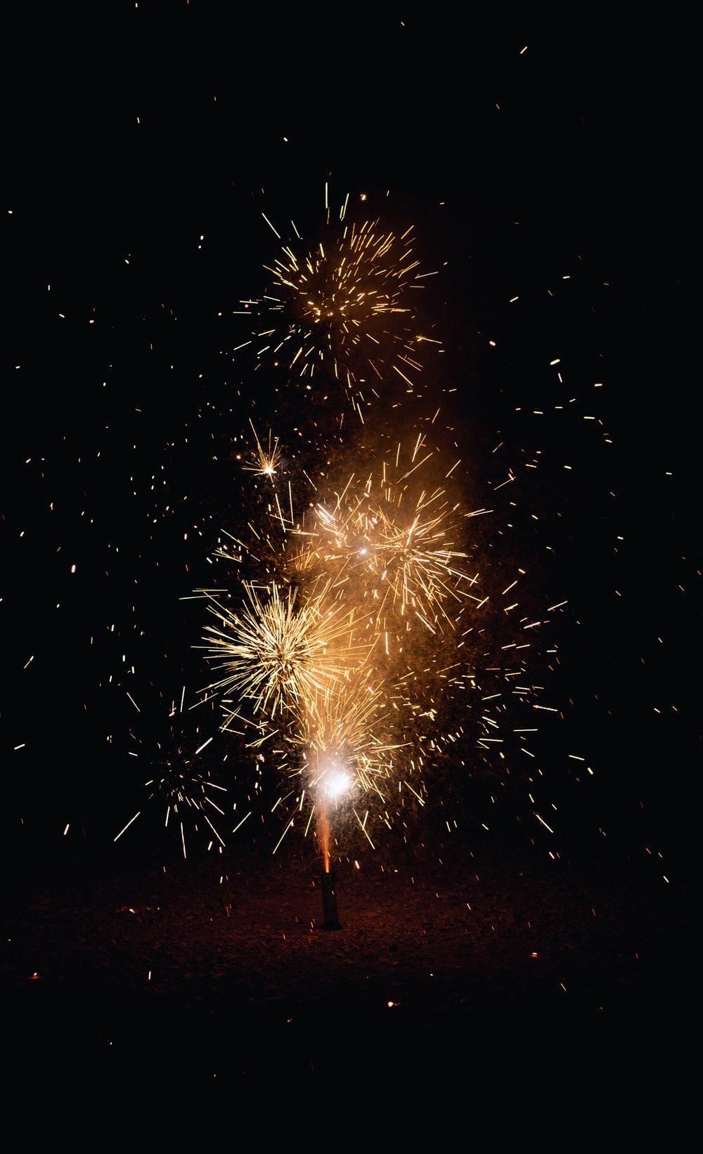 1000x1642 Seneca Picture. Download Free Image