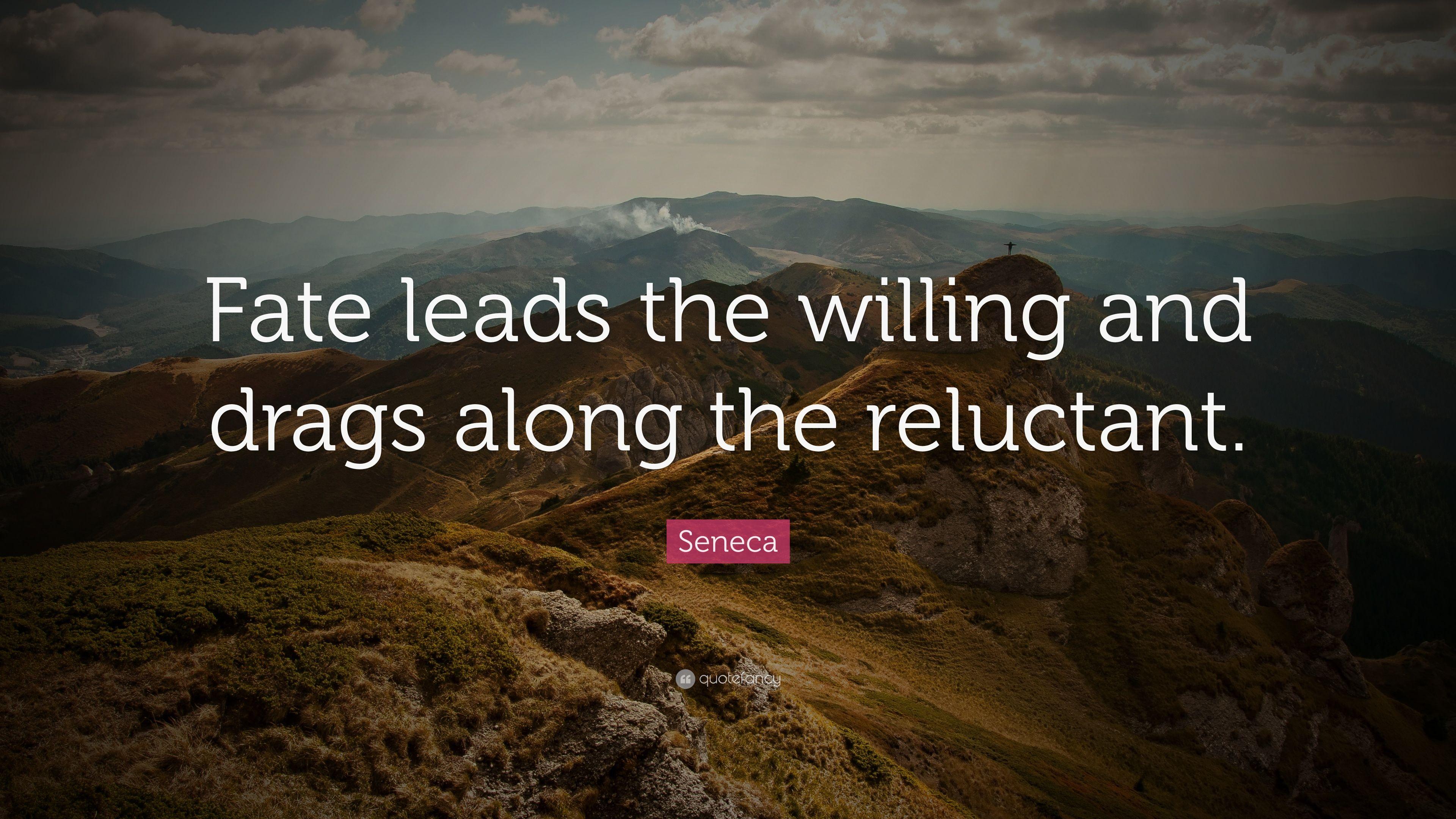 Seneca Wallpapers - Top Free Seneca Backgrounds - WallpaperAccess