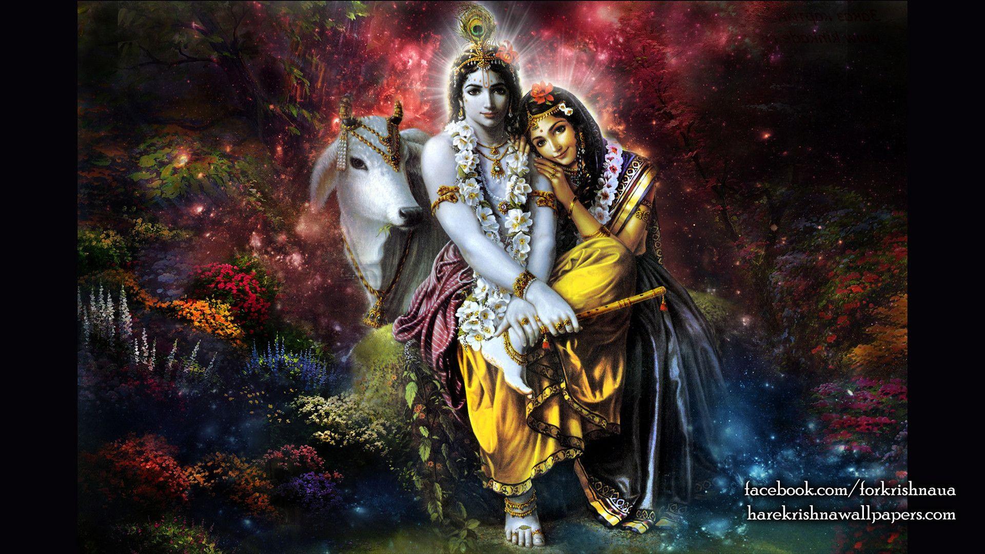 Festival Chaska: Radha Krishna Black and White HD Wallpaper, Pics