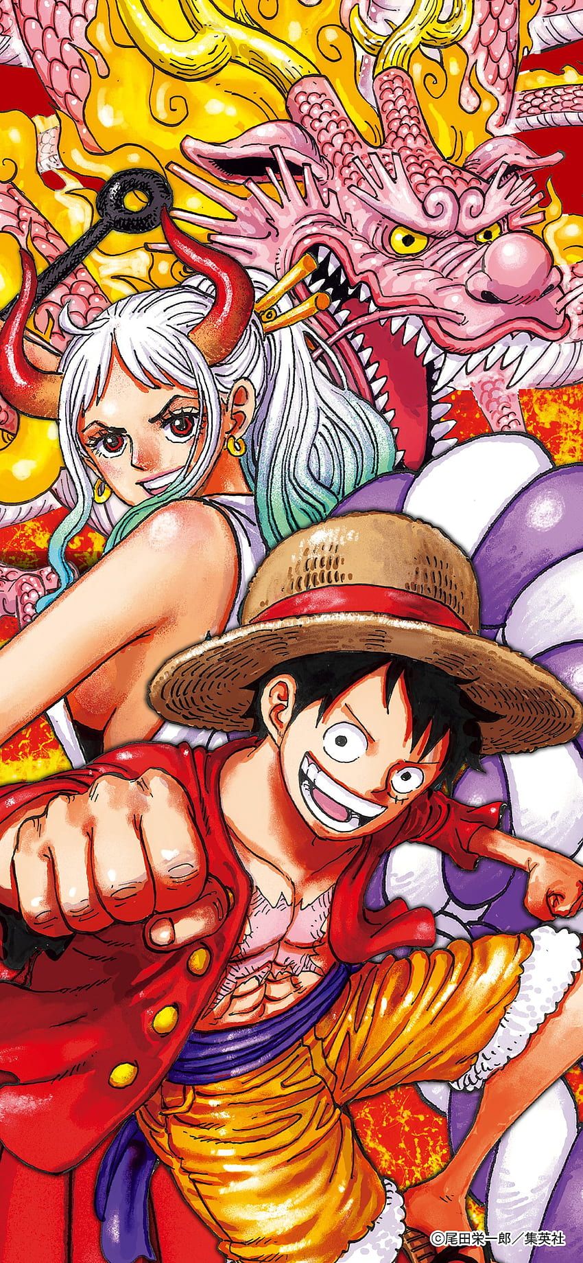 850x1839 One piece cover HD wallpaper