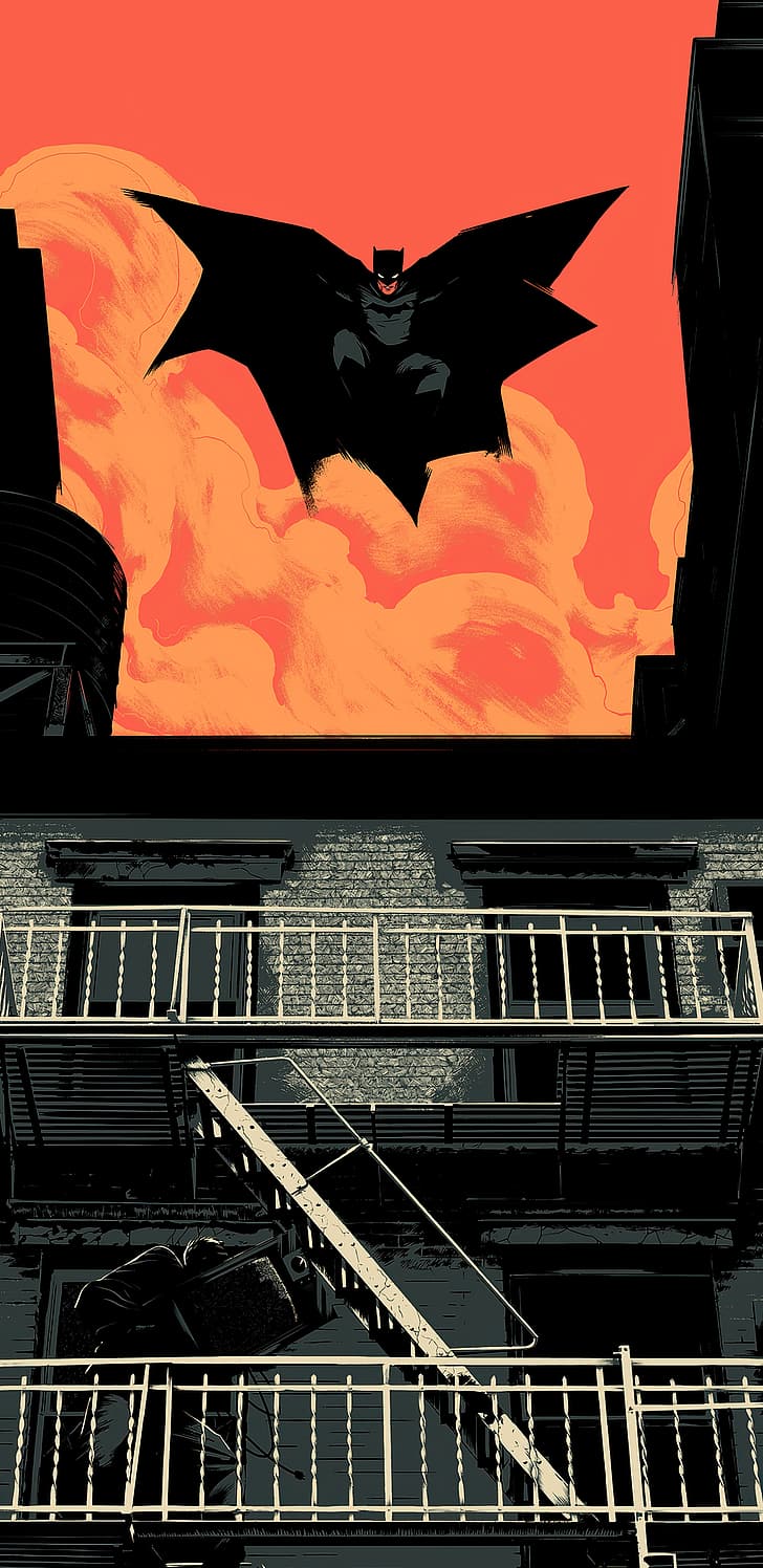 728x1496 HD wallpaper: Batman and Robin, Star Wars, black, iPhone, Android (operating system)