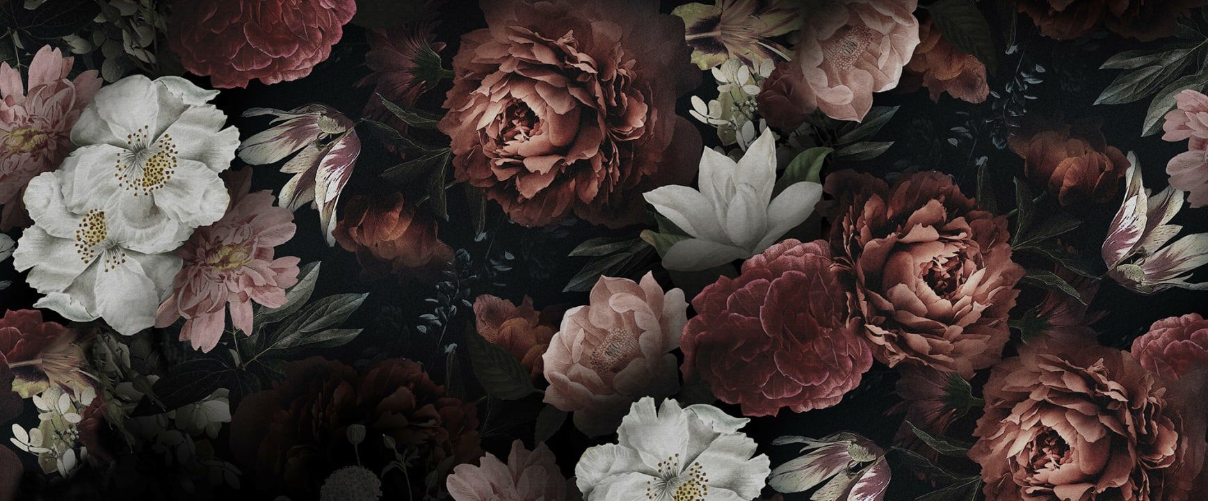 1737x720 Gorgeous Close Up Floral Wallpaper for 2025