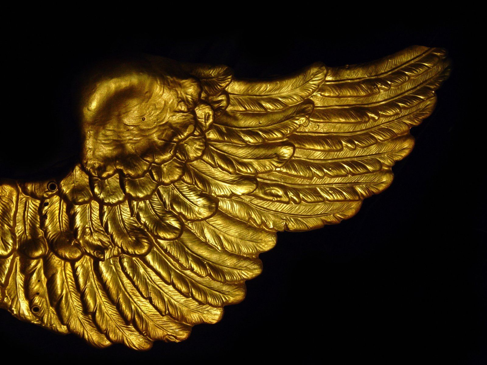 1600x1200 Intricate golden wing on black background Free