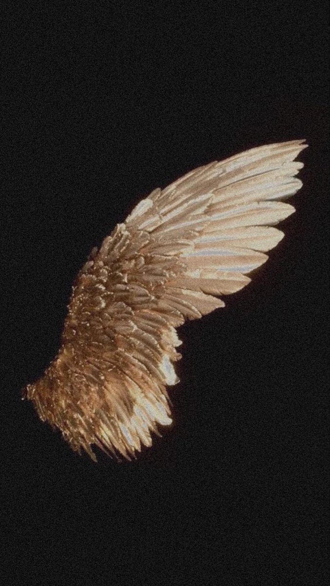 675x1200 Goldenangelwings