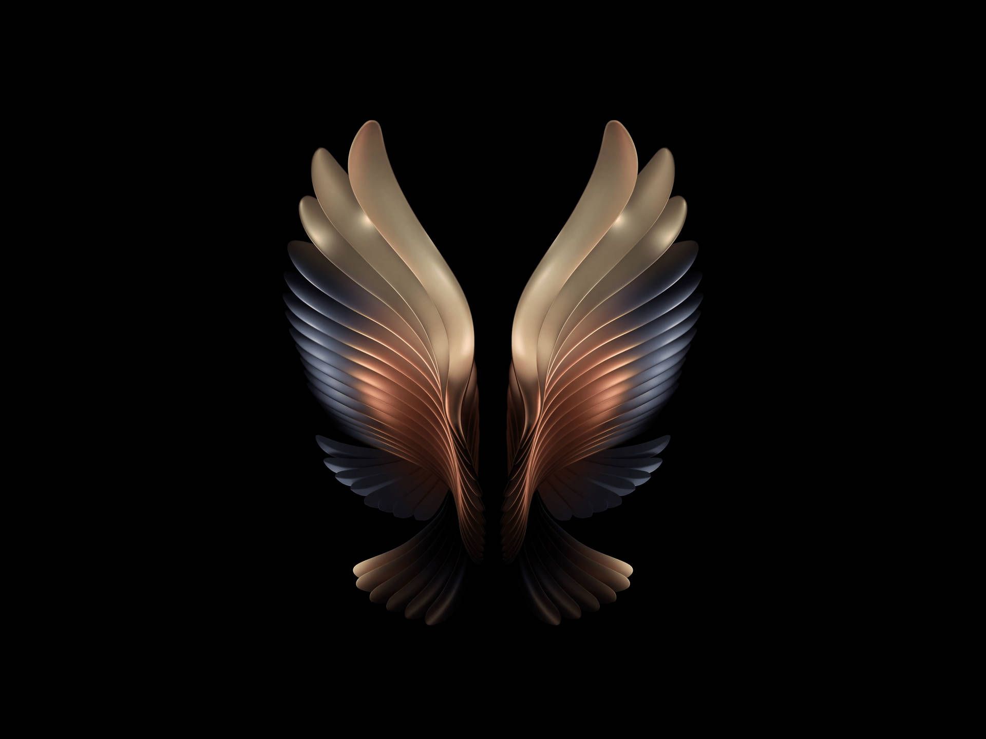 1920x1440 Download Abstract Bird Wings Wallpaper