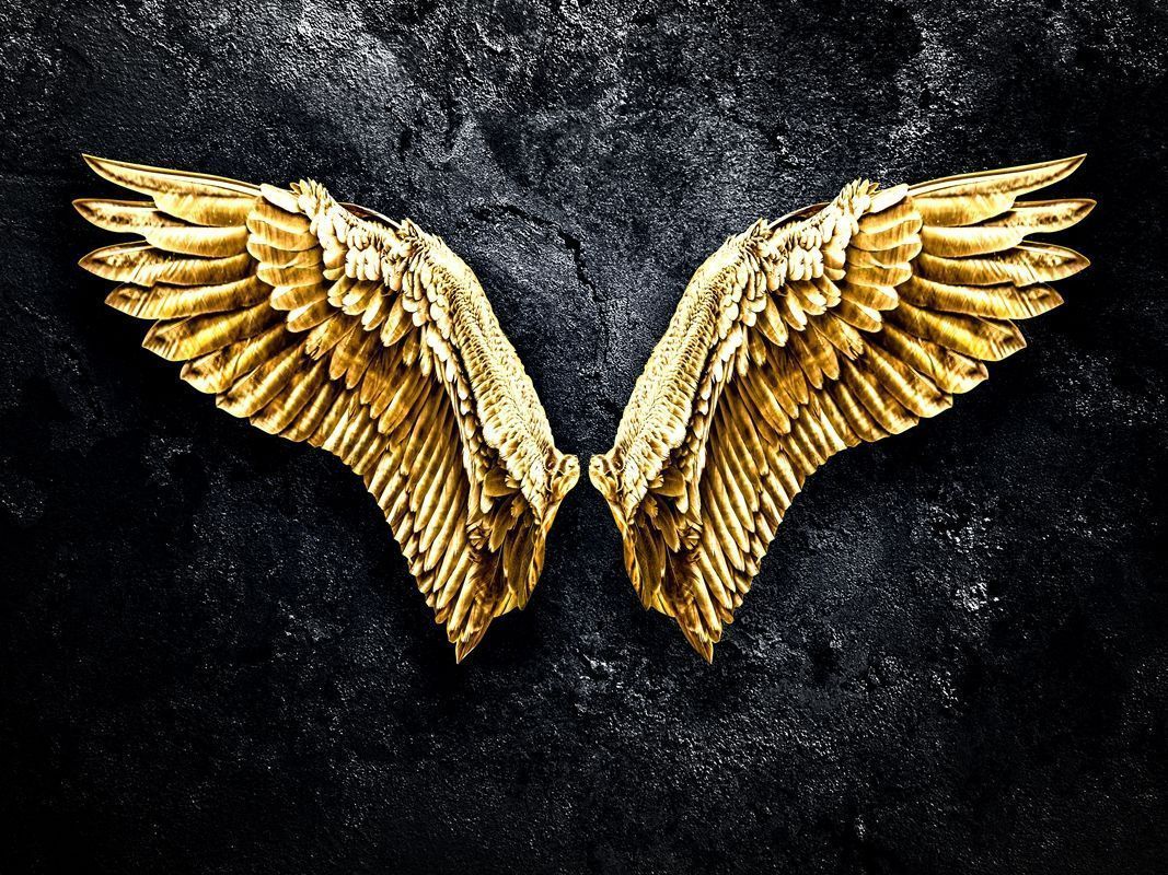1067x800 Golden Wings posters & prints