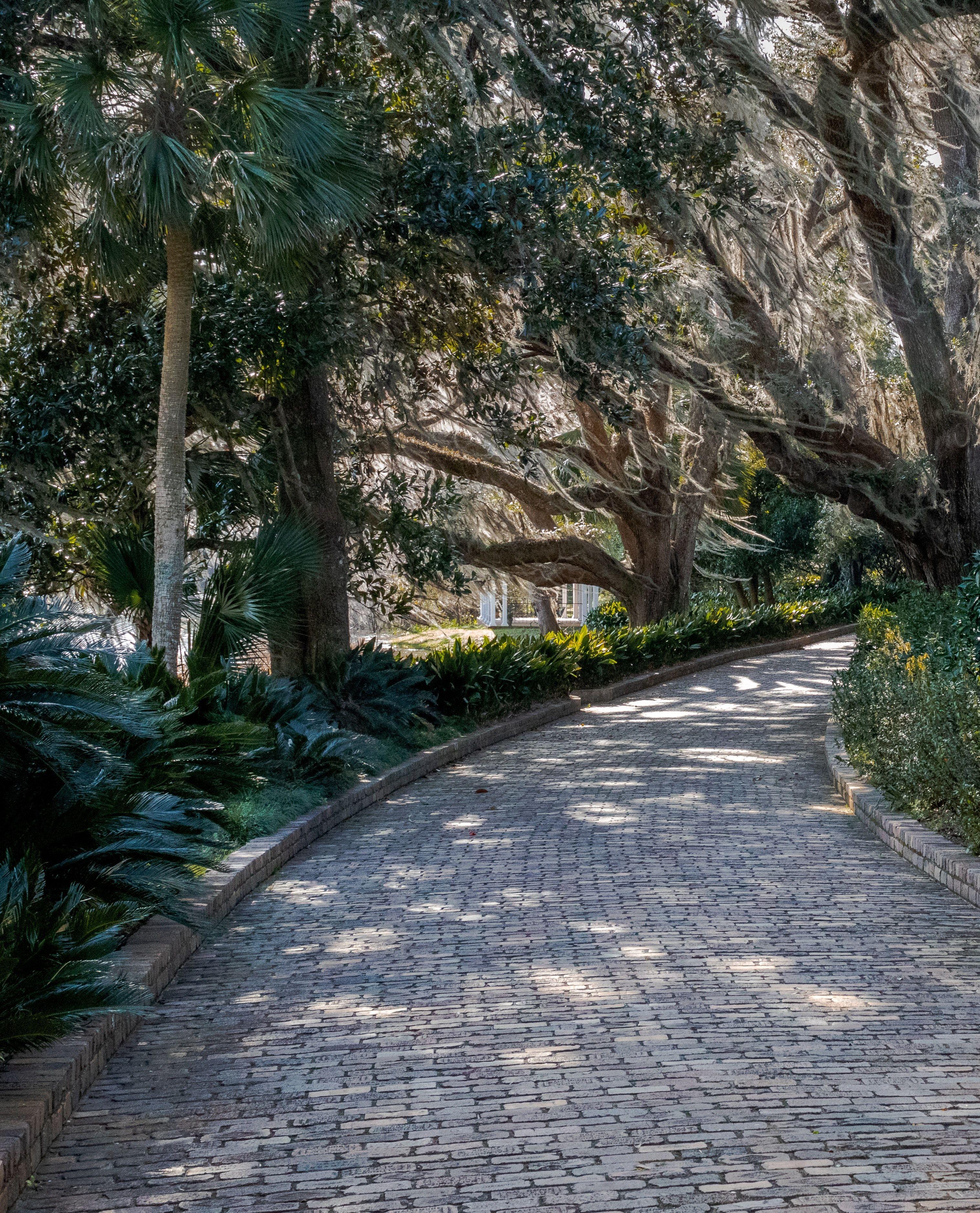 3034x3753 Tallahassee, Florida Picture. Download Free Image