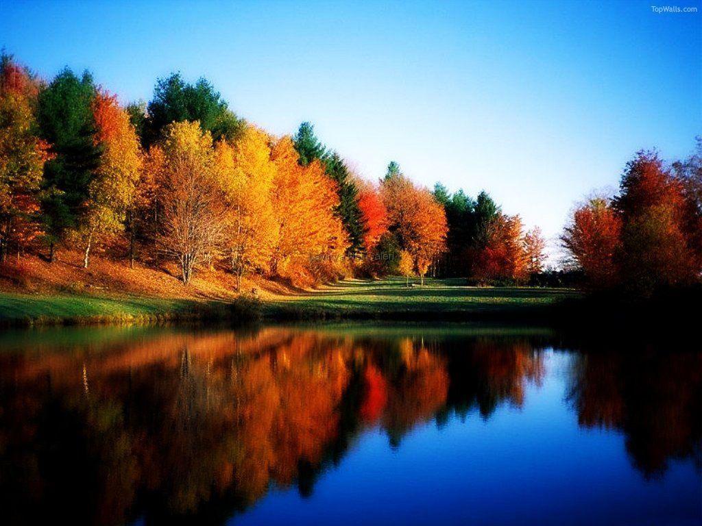 1024x768 Free download Nature Landscapes Wallpaper