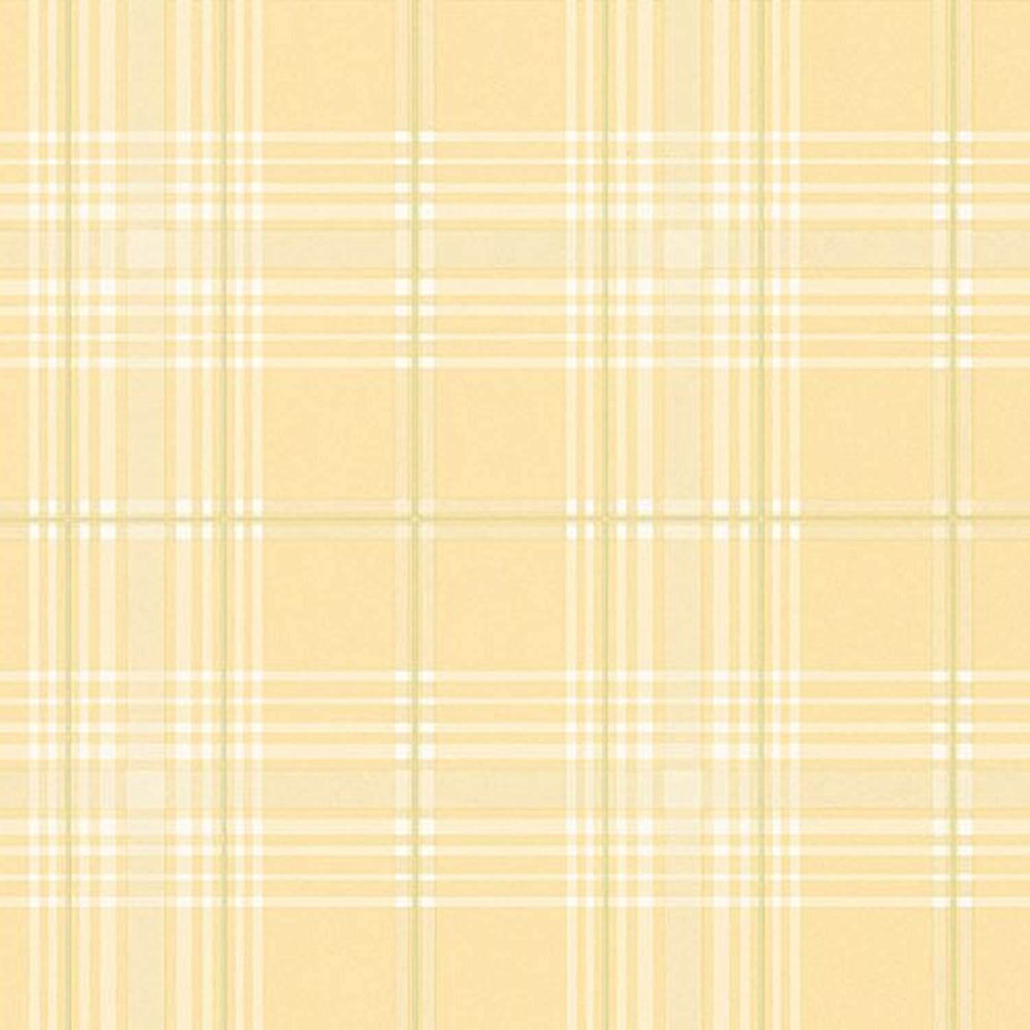 Tallahassee Wallpapers Top Free Tallahassee Backgrounds WallpaperAccess