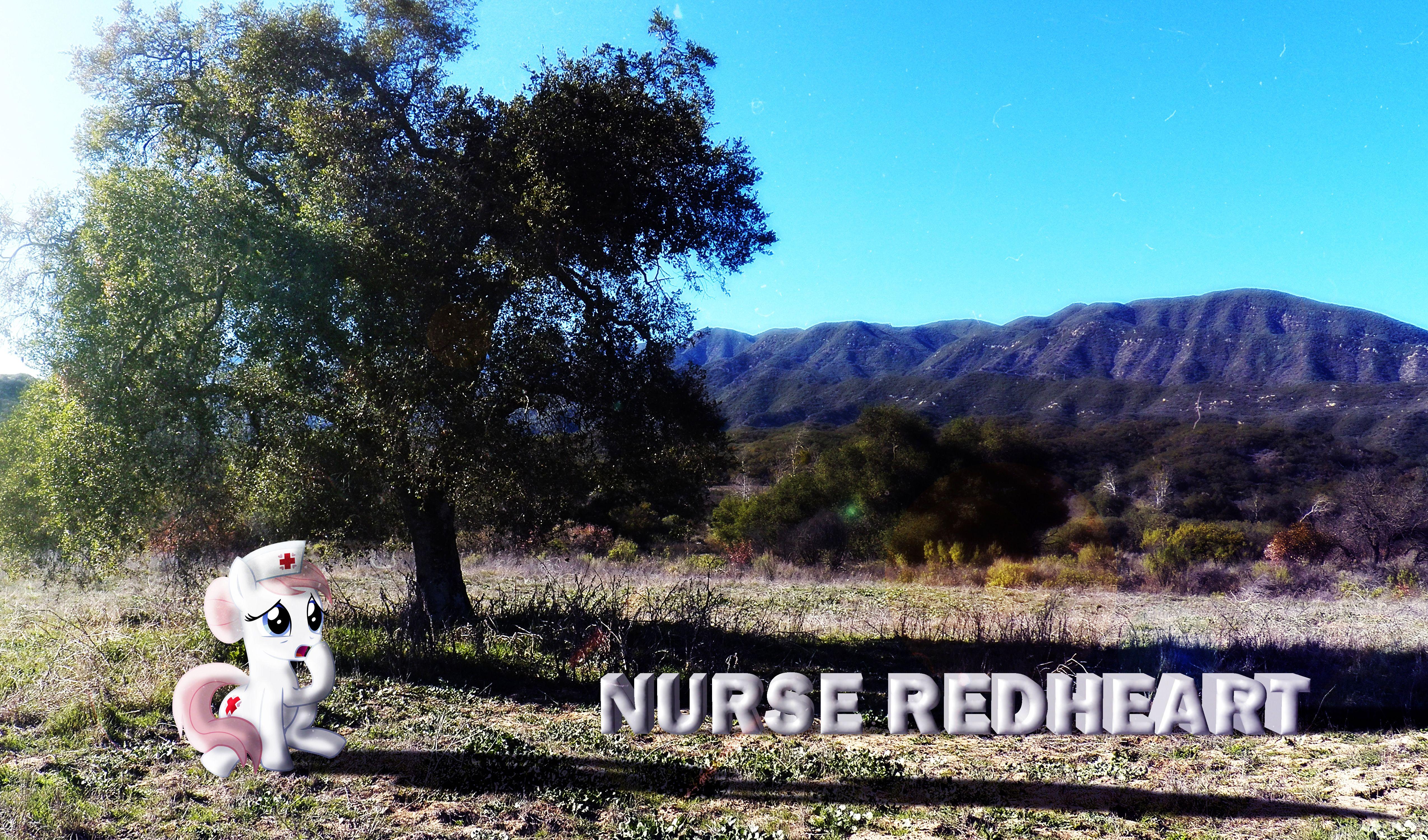 5100x3000 Nurse Redheart Nature Wallpaper