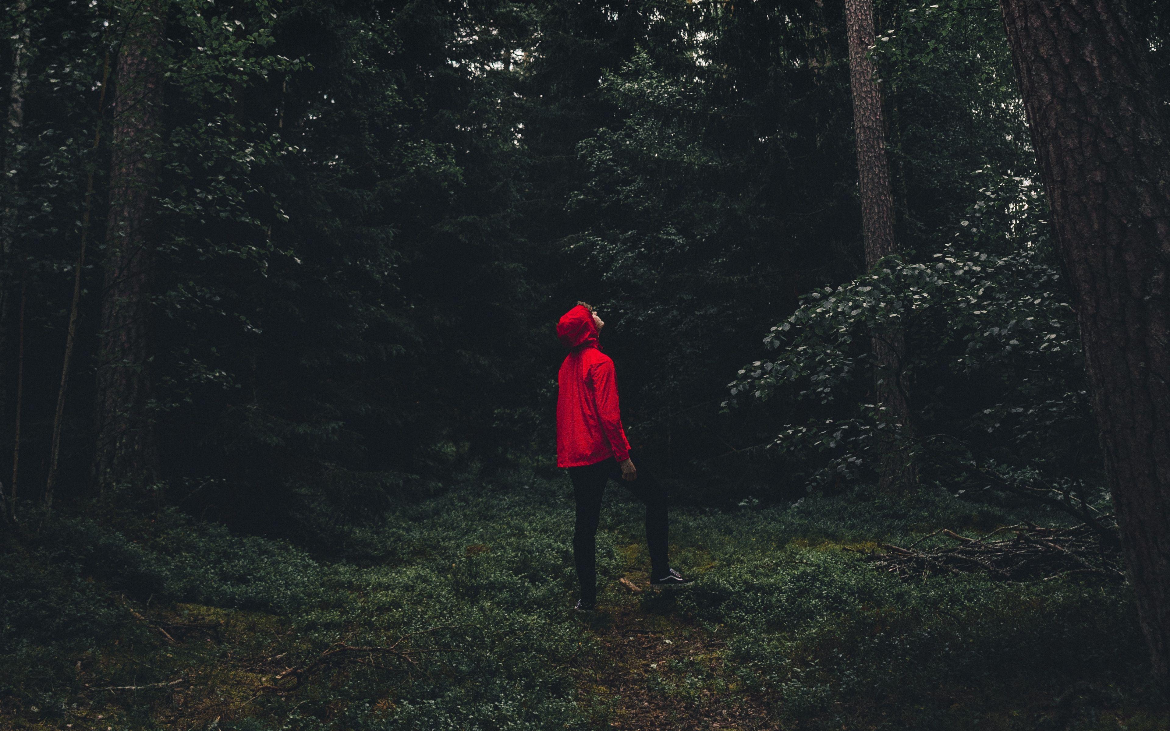 3840x2400 Download wallpaper 3840x2400 man, forest, alone, solitude, trees, sweden 4k ultra HD 16:10 HD background