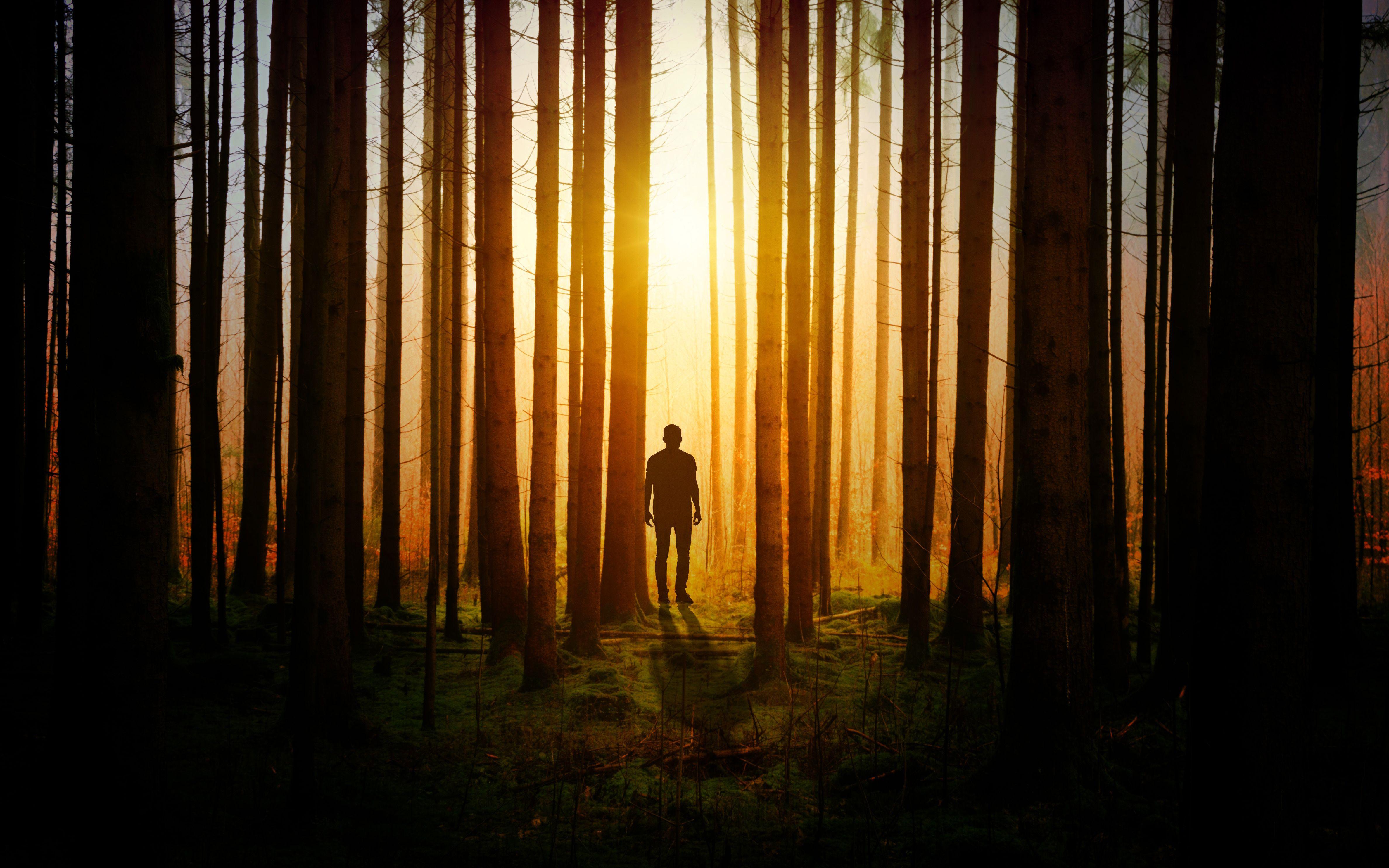 4752x2970 Alone In Forest Sunset 4k Sun And Person