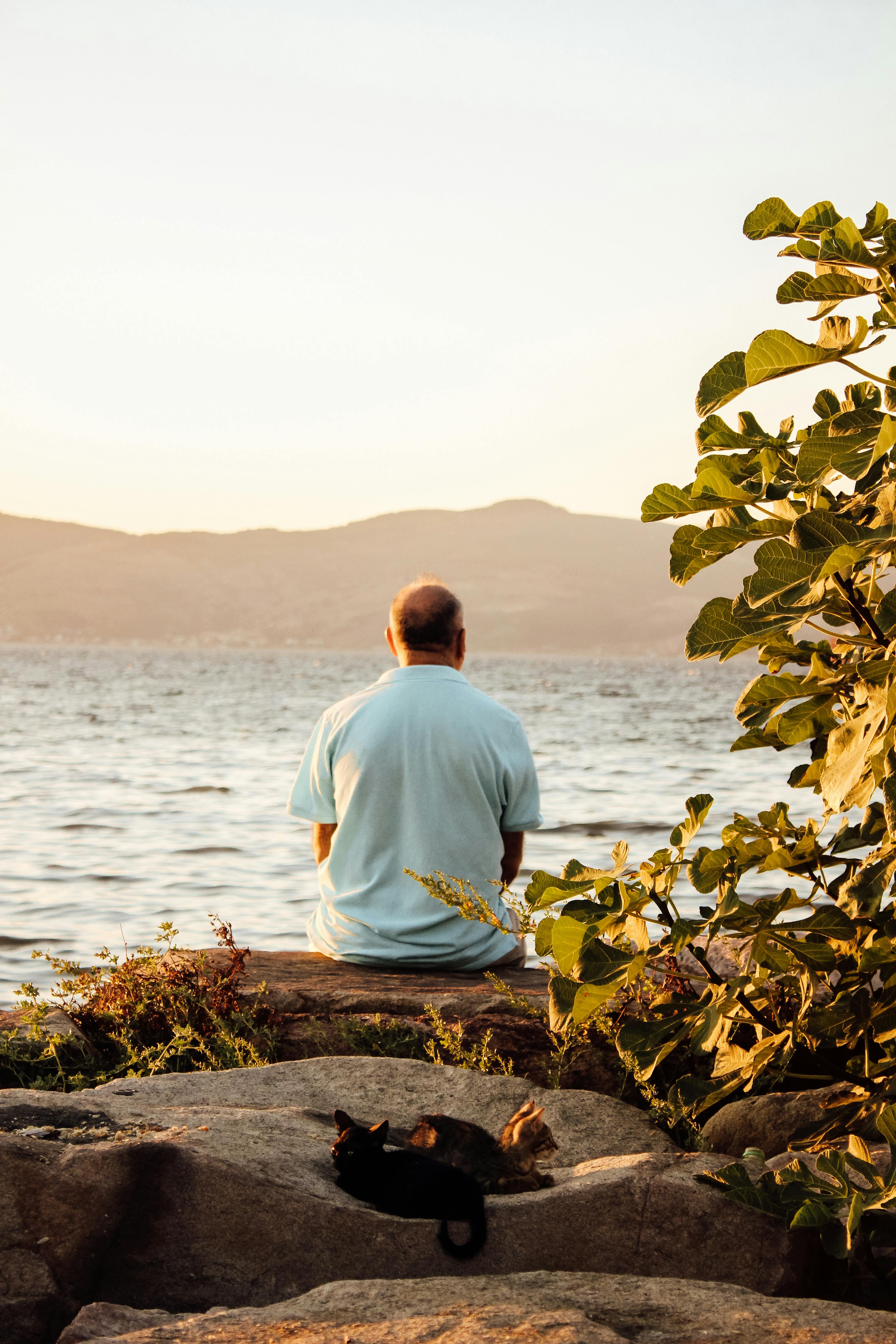 3456x5184 A Back View of a Man Sitting while Looking at the View · Free