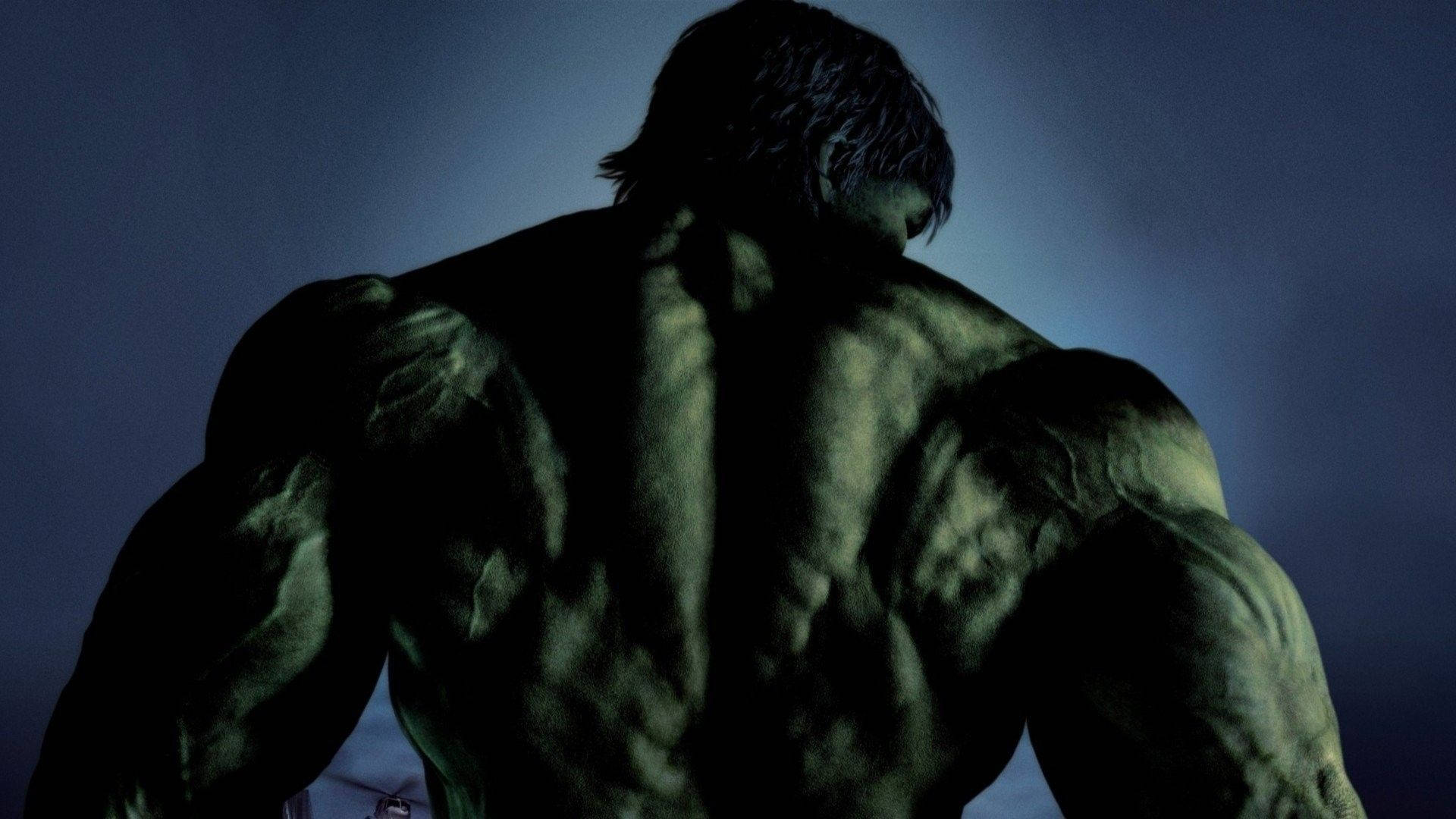 1920x1080 Download Back View Of The Incredible Hulk Wallpaper