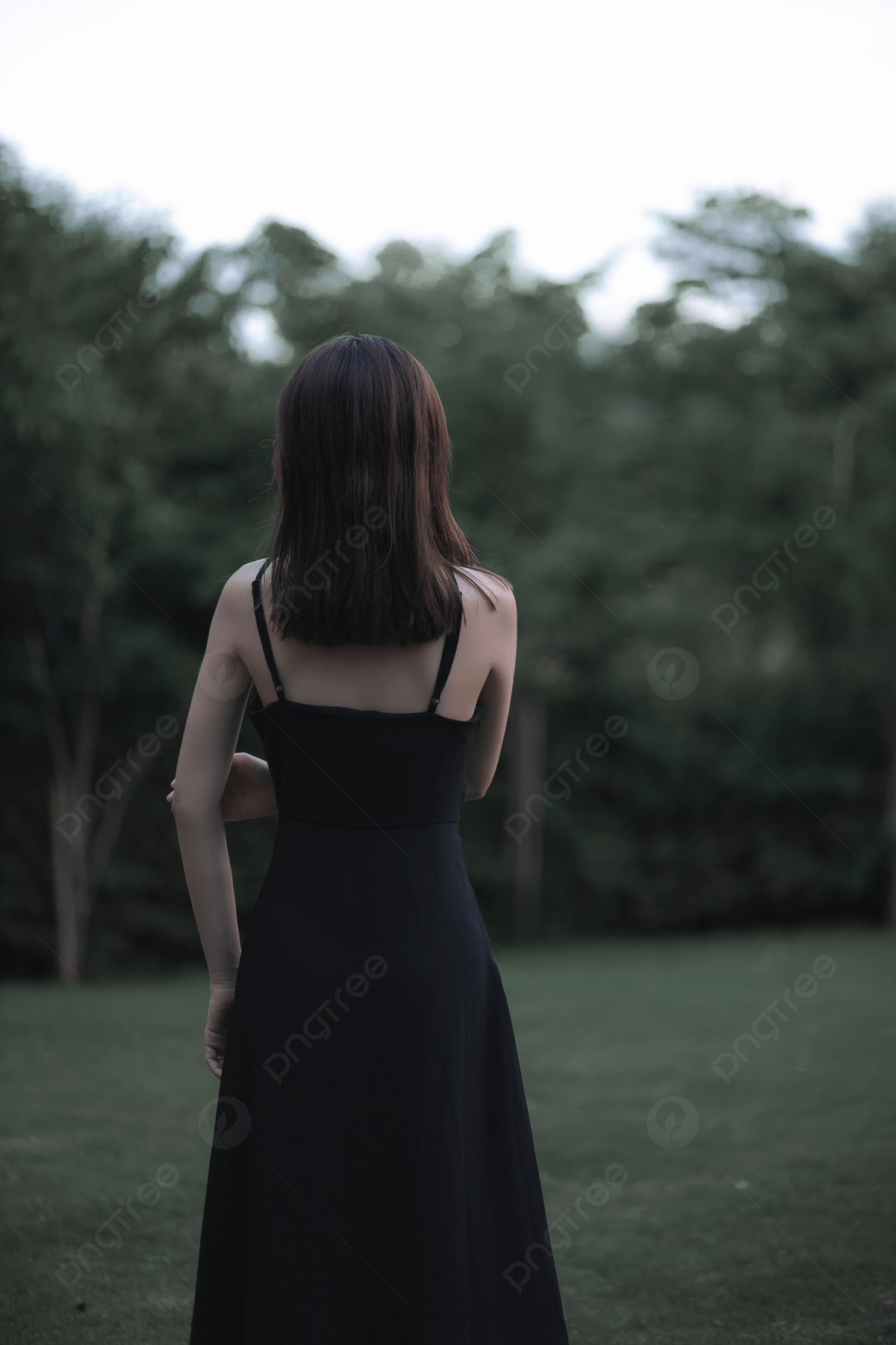 1200x1800 Woman Back View Afternoon Girl Park Photography Picture Illustration Photo Background Wallpaper Image For Free Download