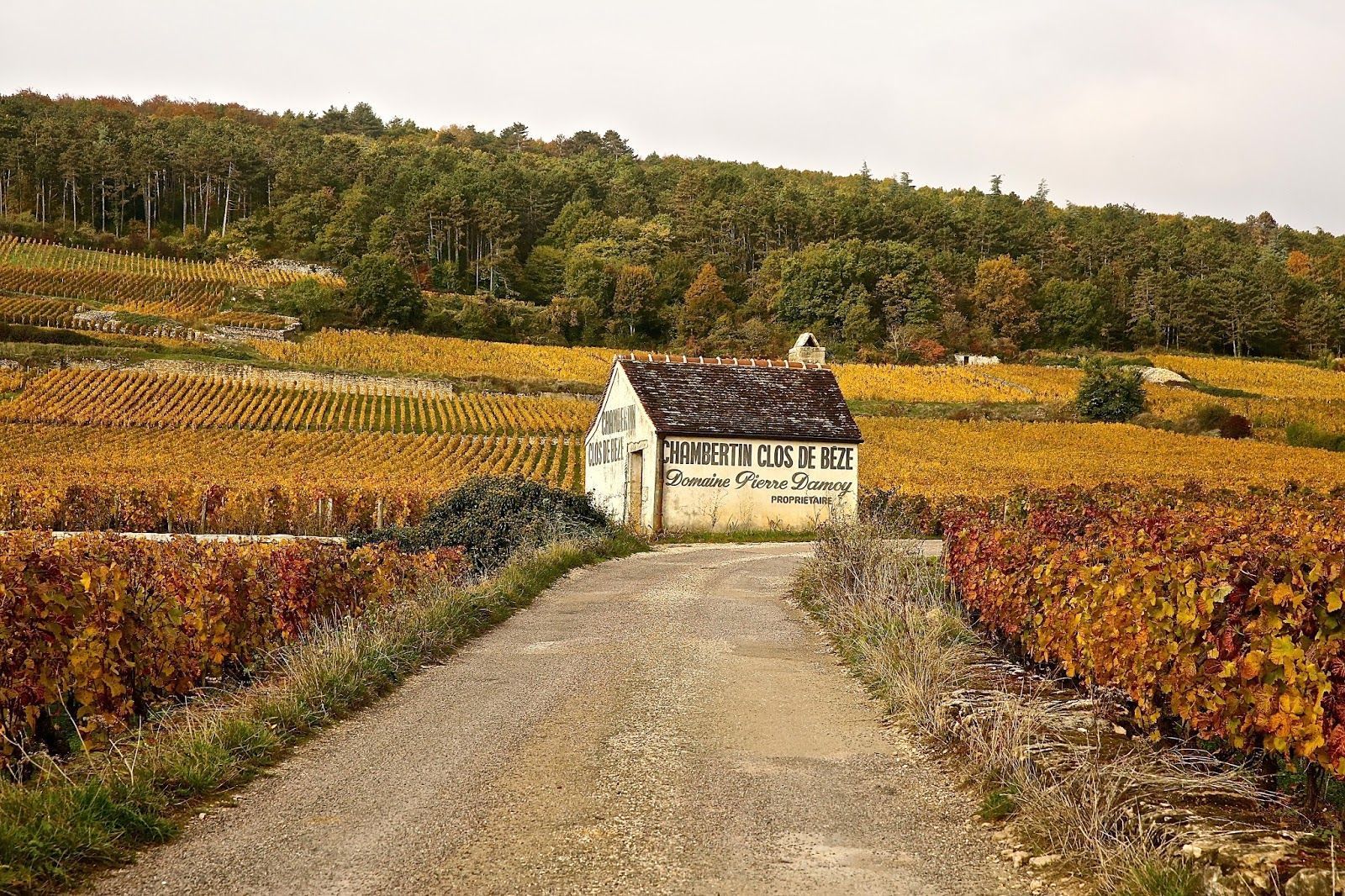 1600x1066 The London Foodie: Dijon