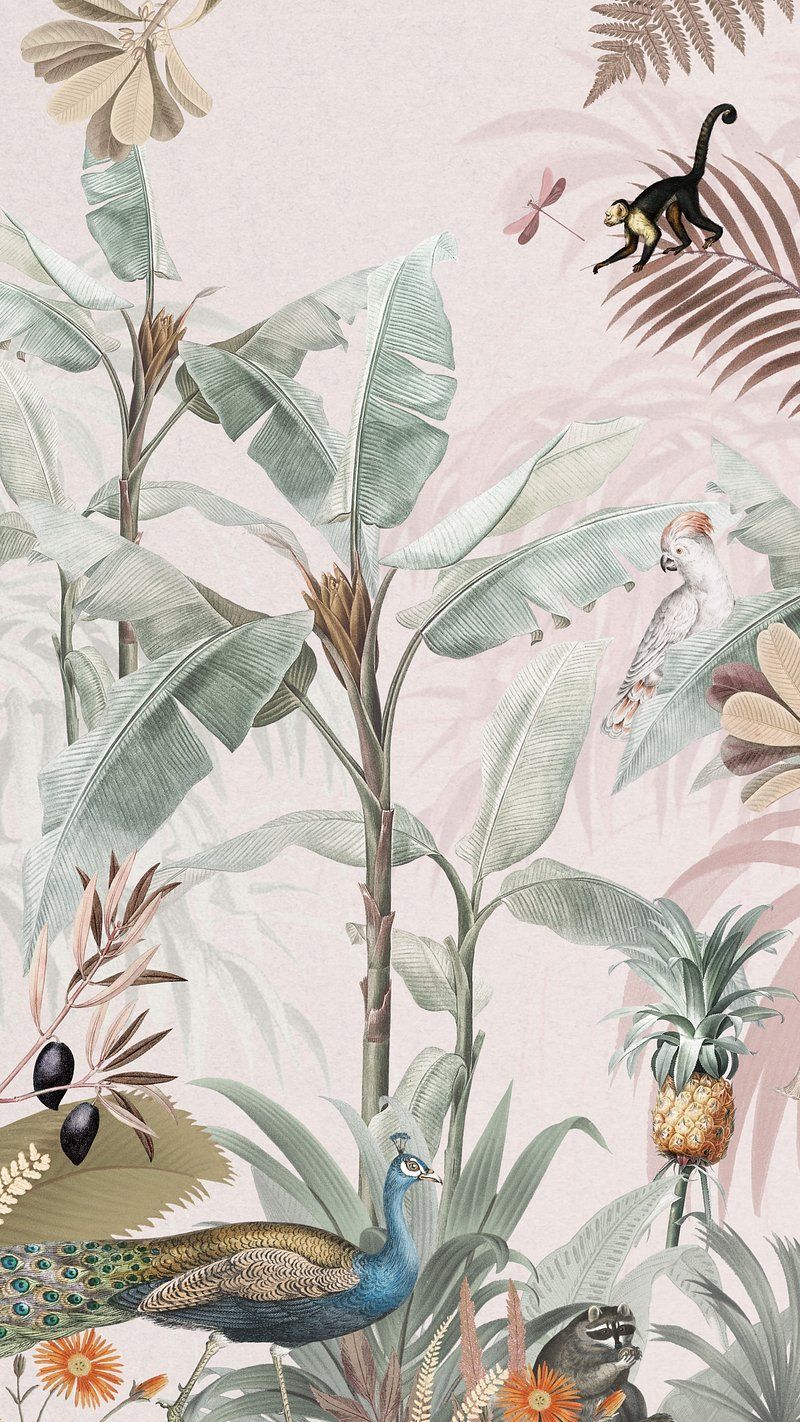 800x1422 Jungle Wallpaper Image Wallpaper