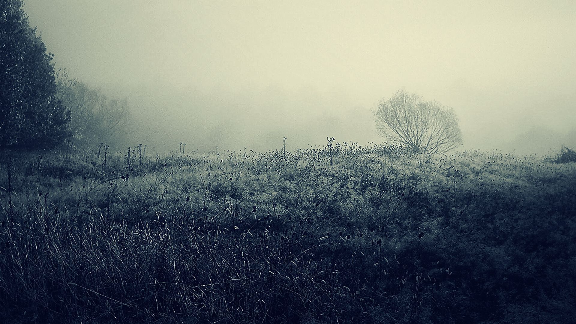 1920x1080 Nature Wallpaper Set 90