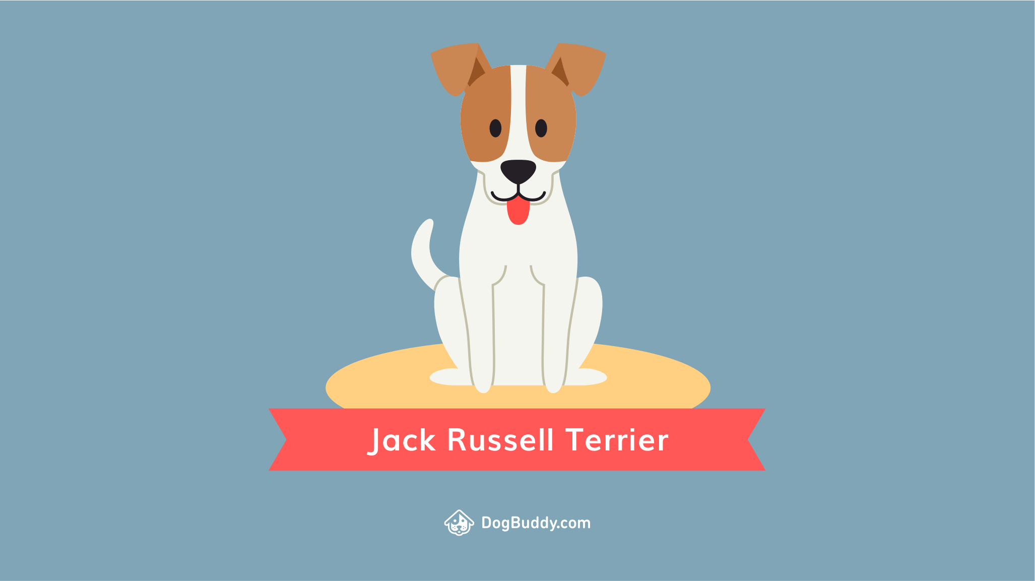 2054x1153 Woofpaper: Jack Russell Terrier