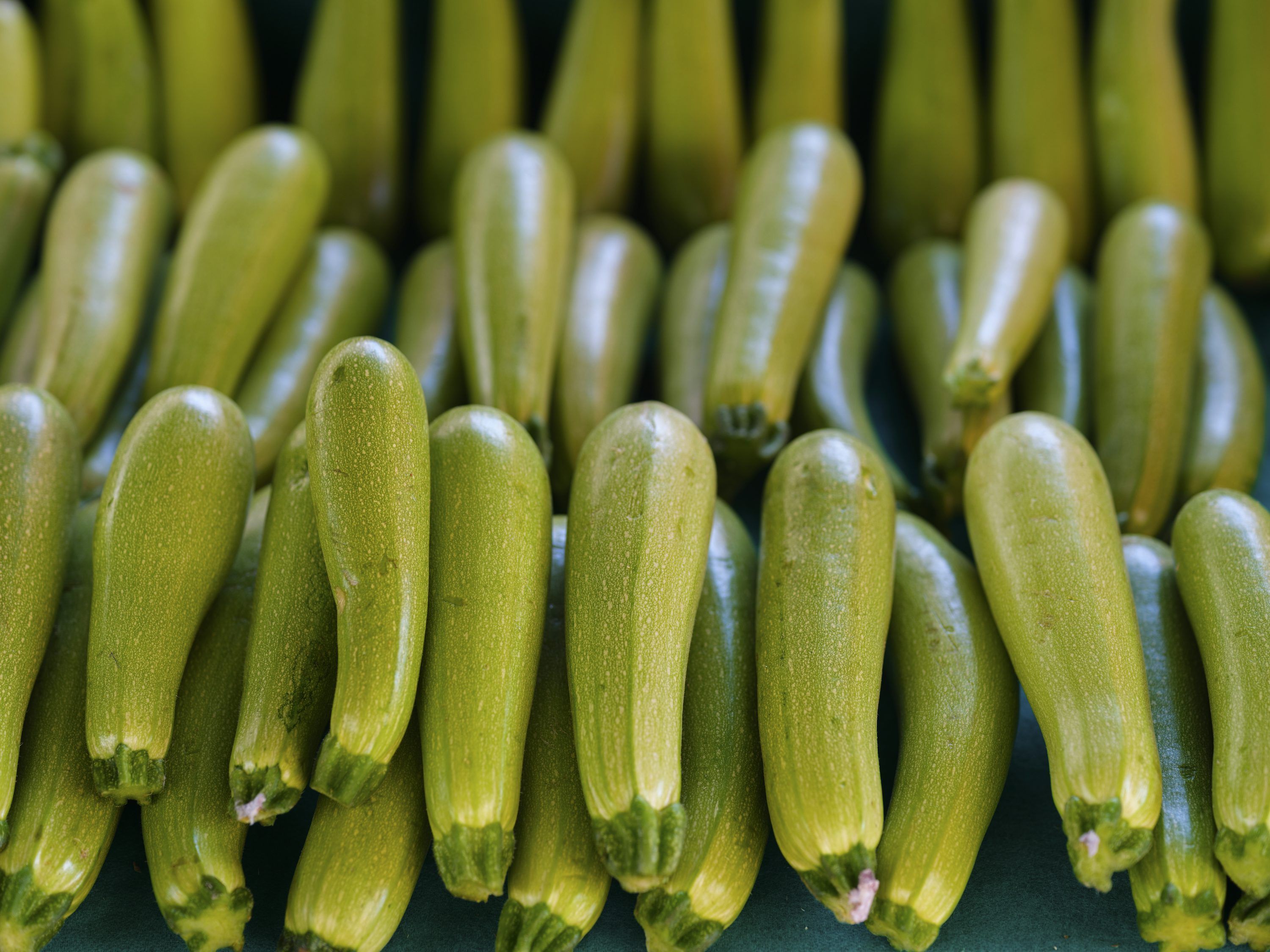 3000x2250 Zucchini Picture. Download Free Image