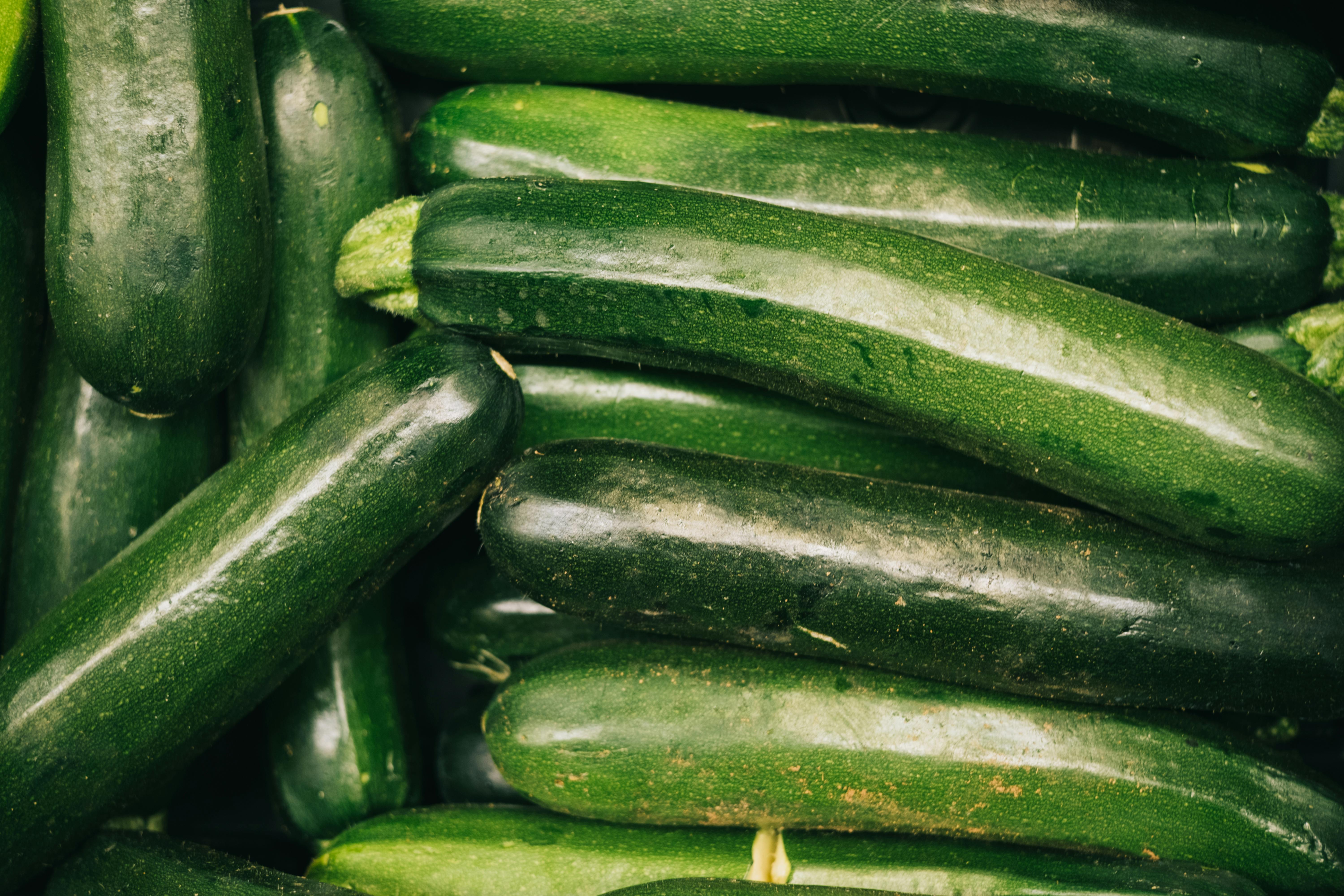 6000x4000 Zucchini Photo, Download The BEST Free Zucchini & HD Image