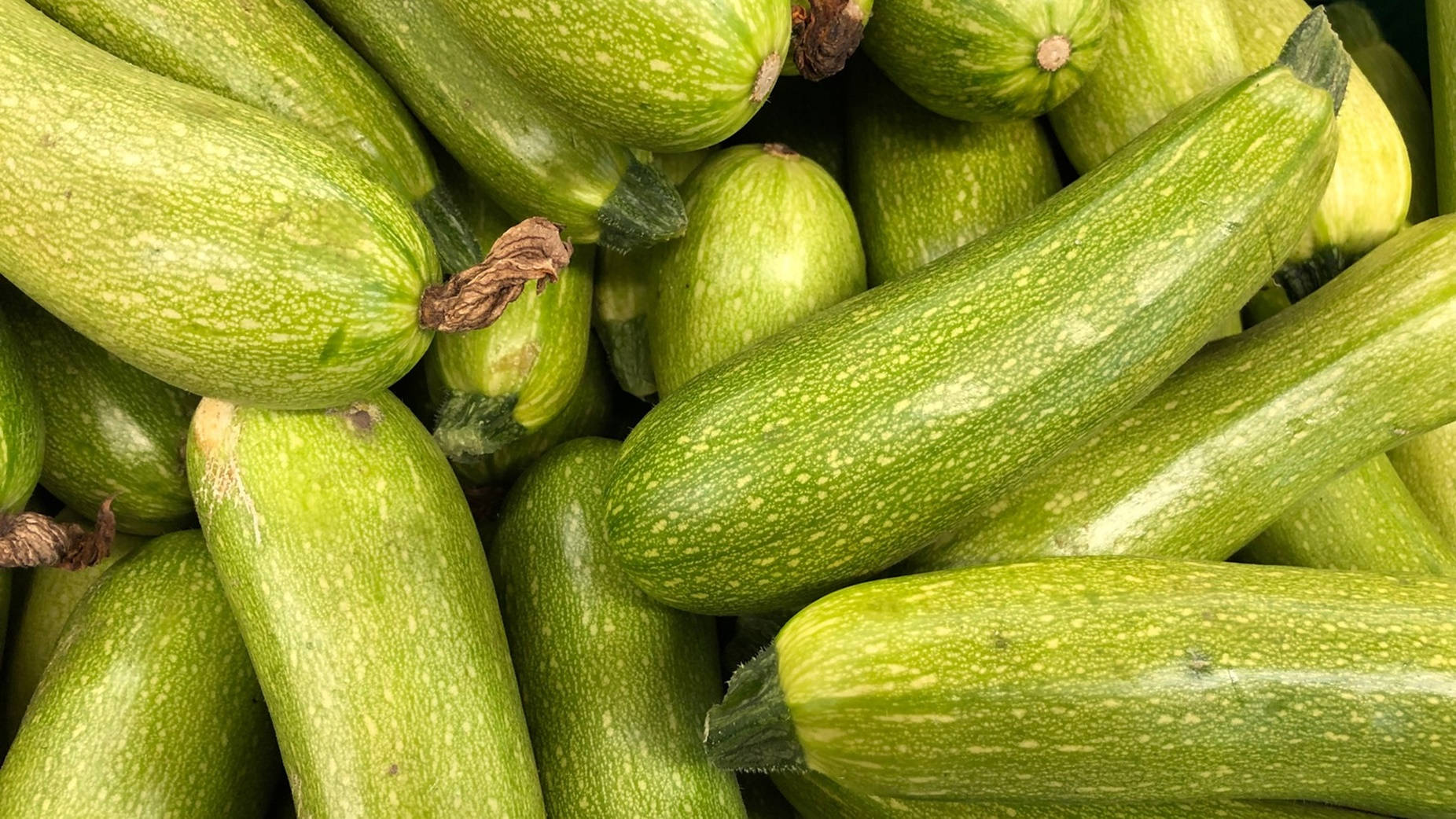 1852x1042 Download Zucchini Perennial Flowering Vegetable Plant Wallpaper