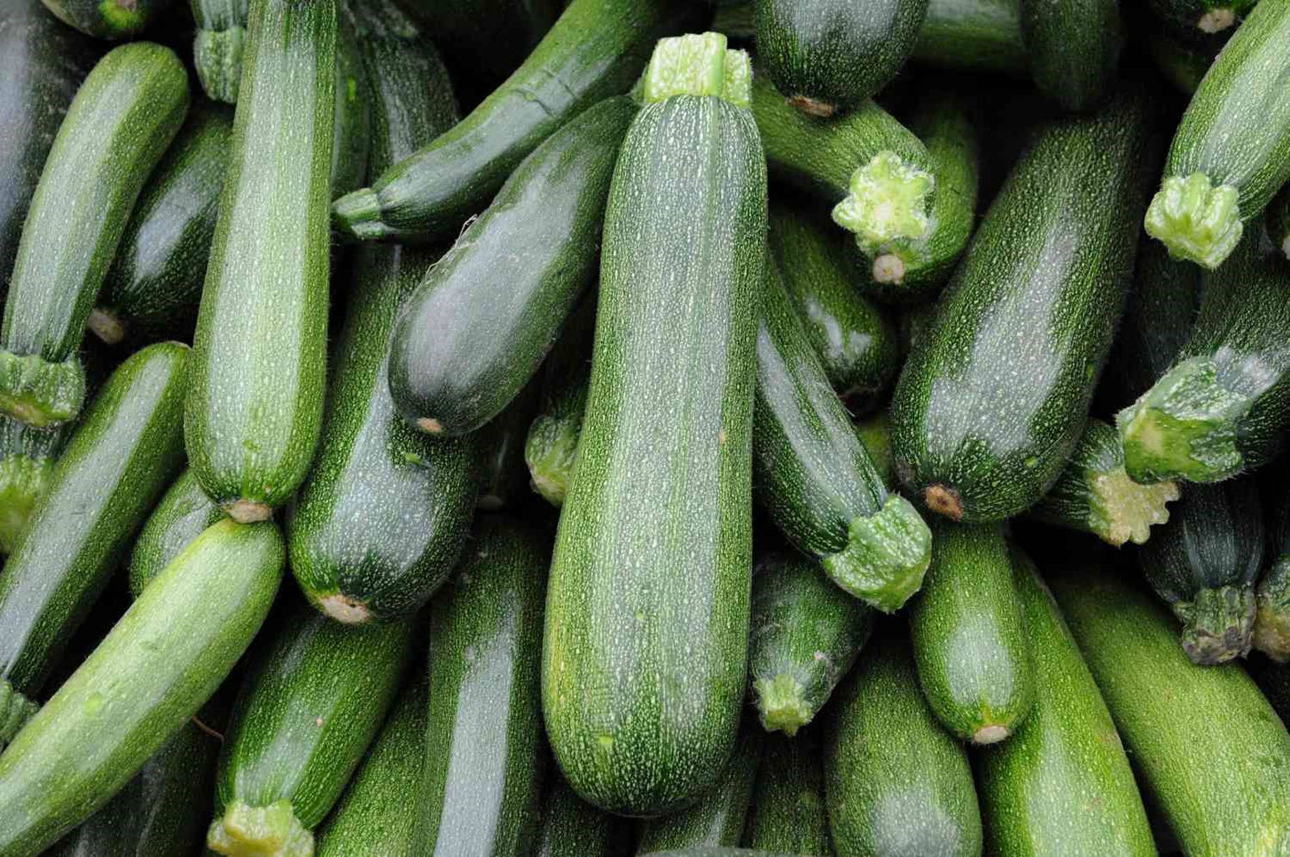 1852x1231 Zucchini Picture