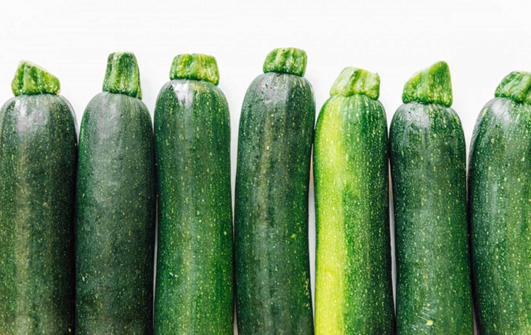1852x1169 Download Zucchini Dunja Vegetable Variety Wallpaper