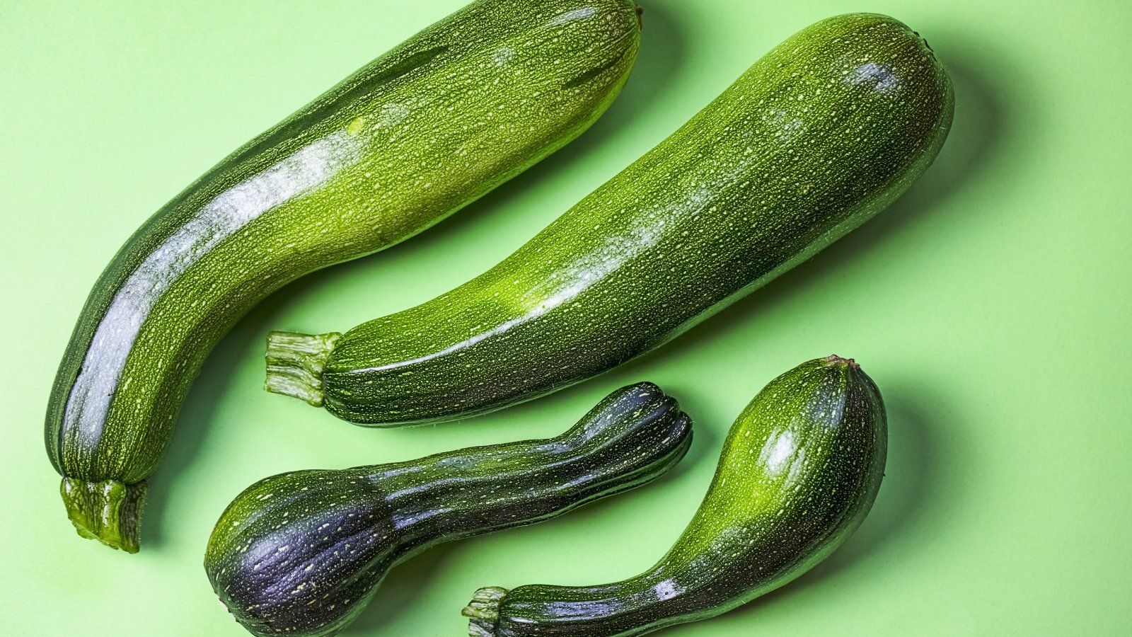 1600x900 Tips For Growing Zucchini And Planting Zucchini. Gardening Know How