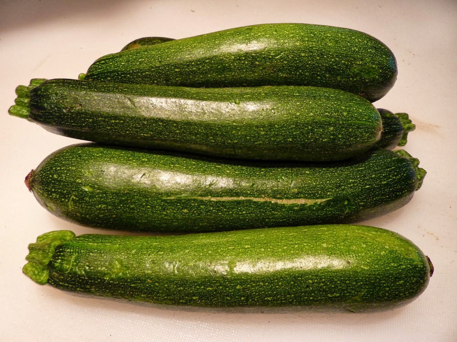 1600x1200 Zucchini and Tomato Gratin by Jacques Pepin from Colleen
