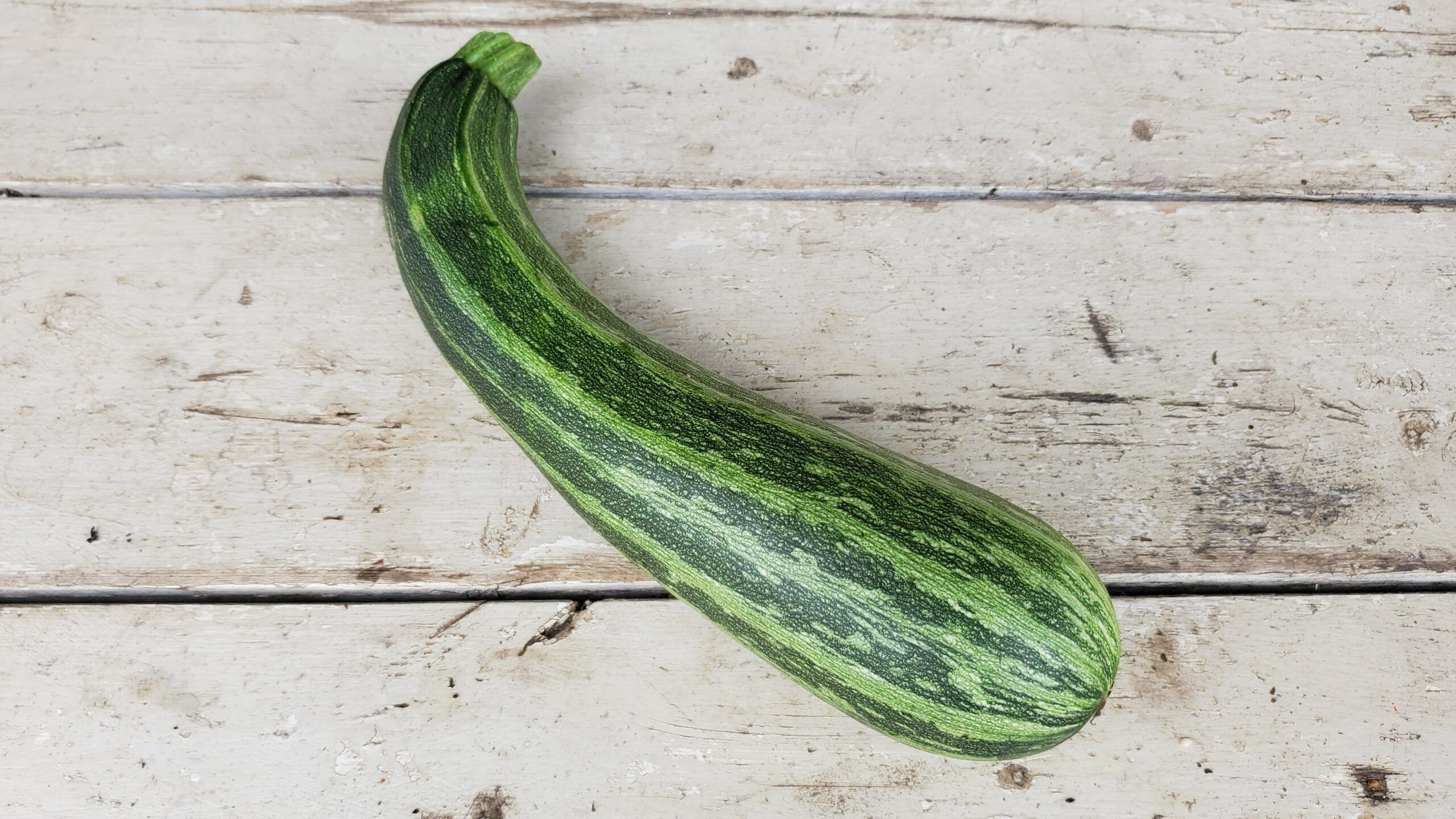 2560x1440 Summer Squash Cocozelle (Zucchini)