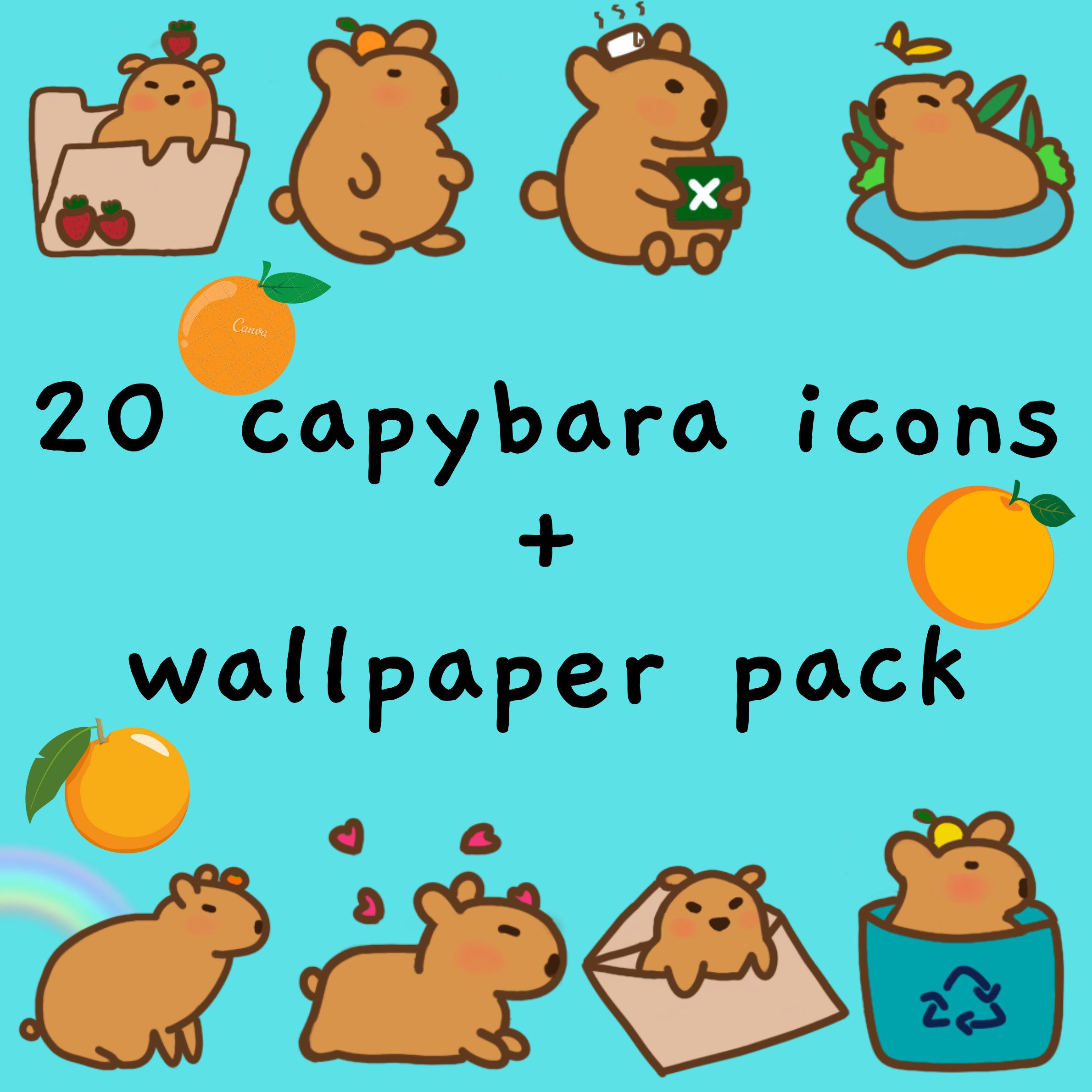 2380x2380 Cute Capybara Icon and Wallpaper