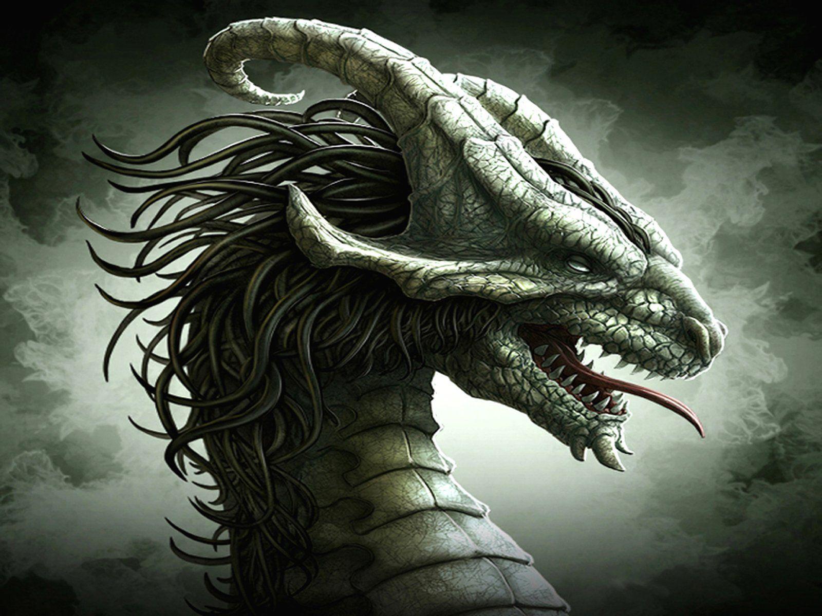 Dragon Android Wallpapers Top Free Dragon Android Backgrounds