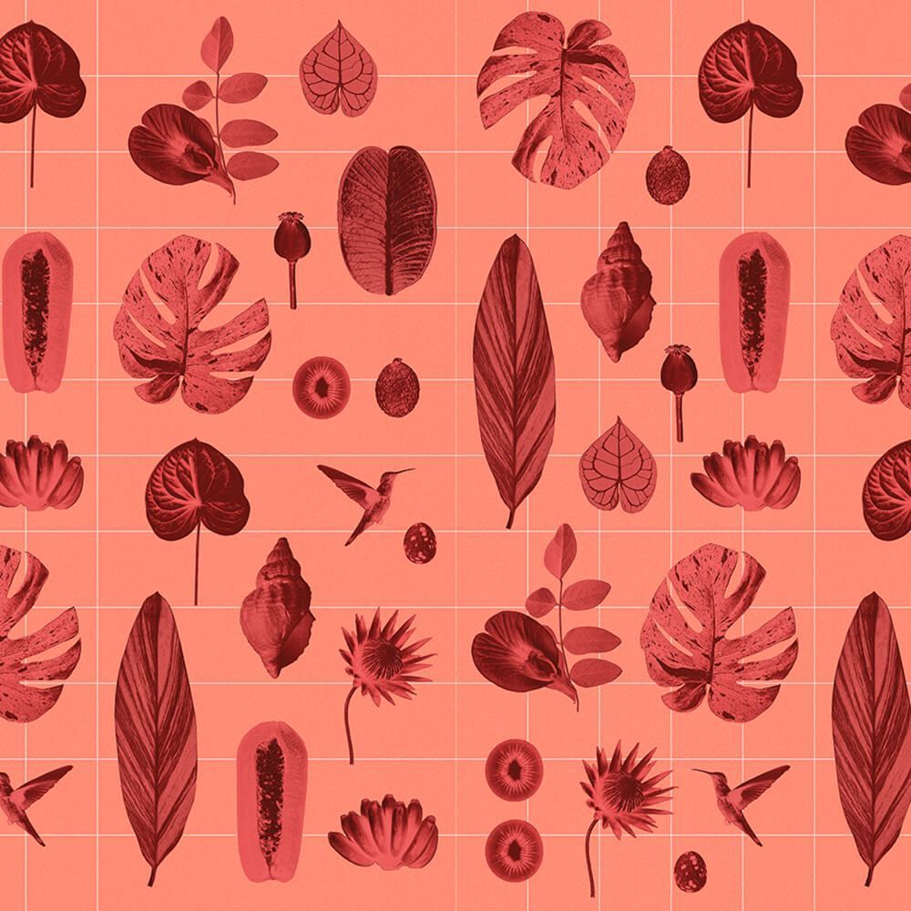 1000x1000 Wallpaper CORNET DE VOYAGE, Murals the Texture