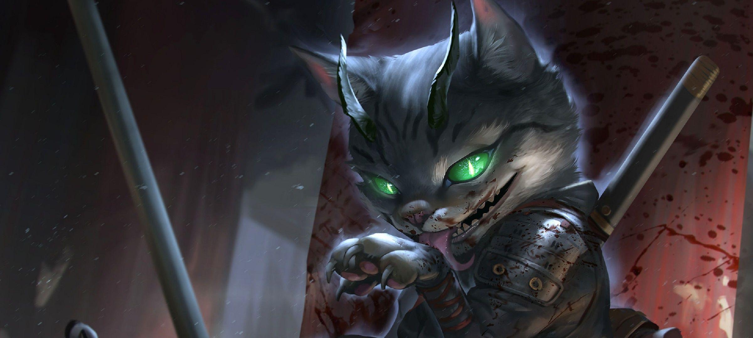 2400x1080 Cat HD Wallpaper