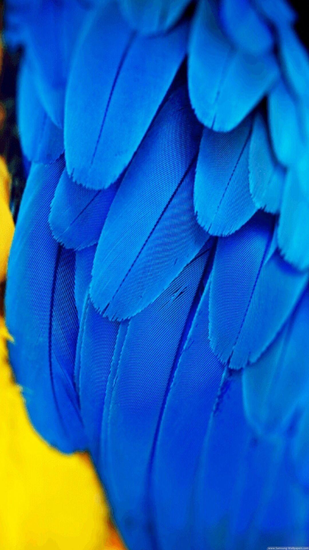 1080x1920 Blue Feathers Lock Screen 1080x1920 Samsung Galaxy Note 3