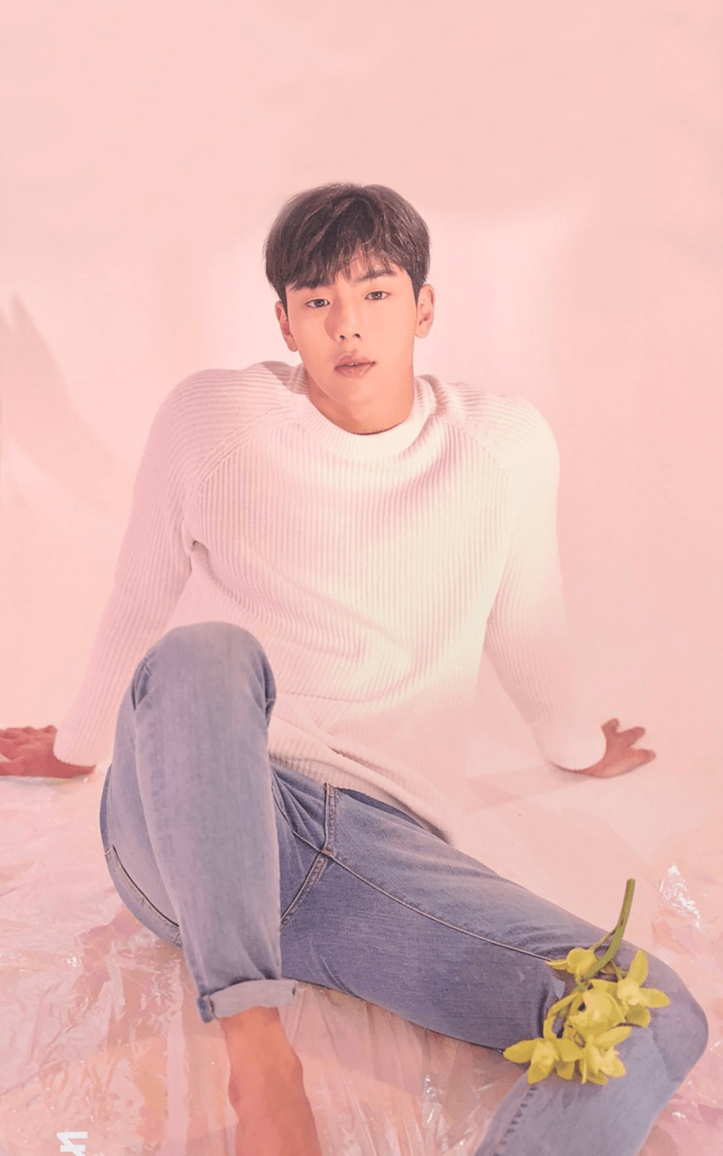 800x1280 Free download Shownu Background Wallpaper NUTS Pinterest Oppas
