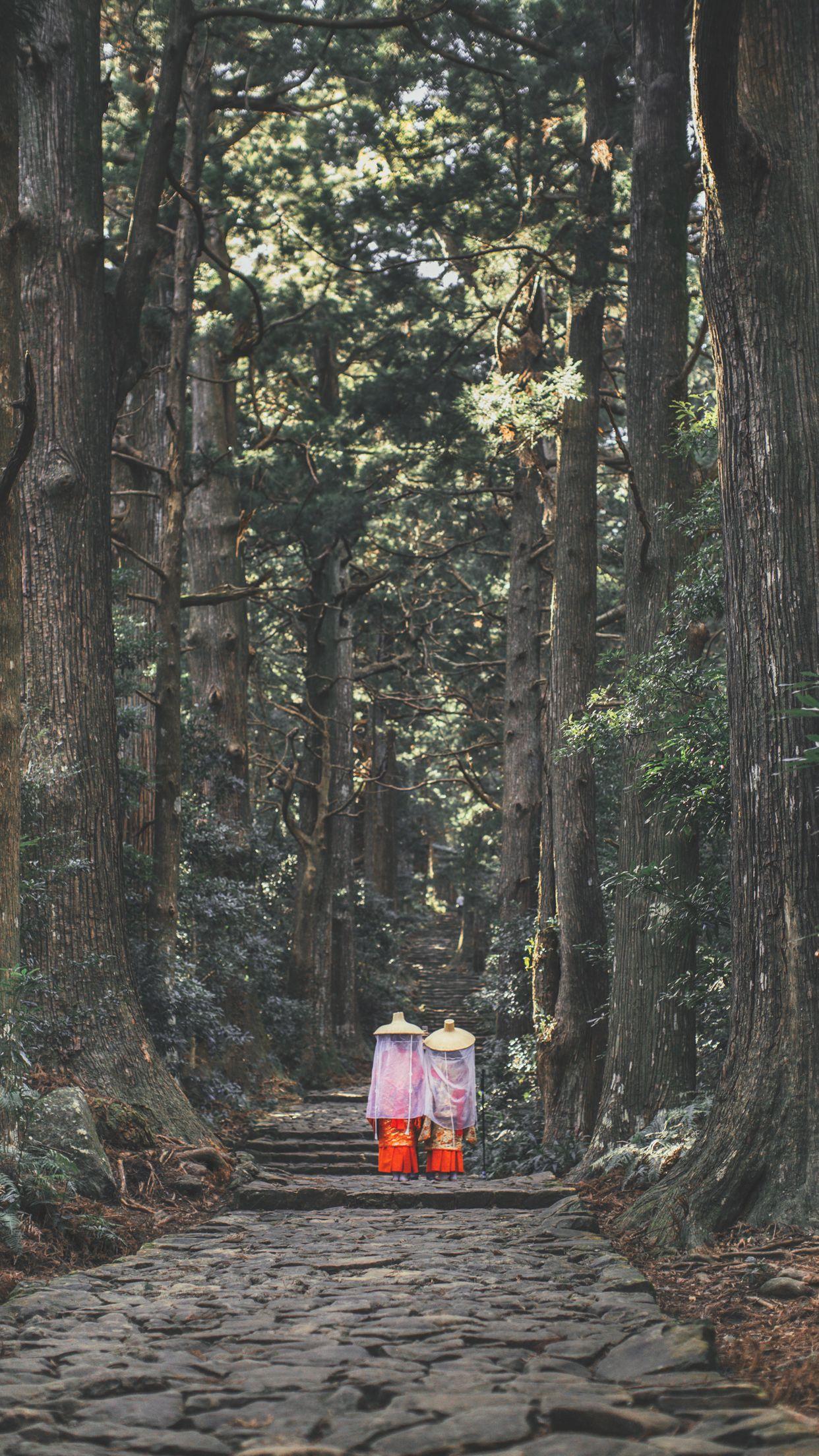 1242x2208 Wallpaper of the Month