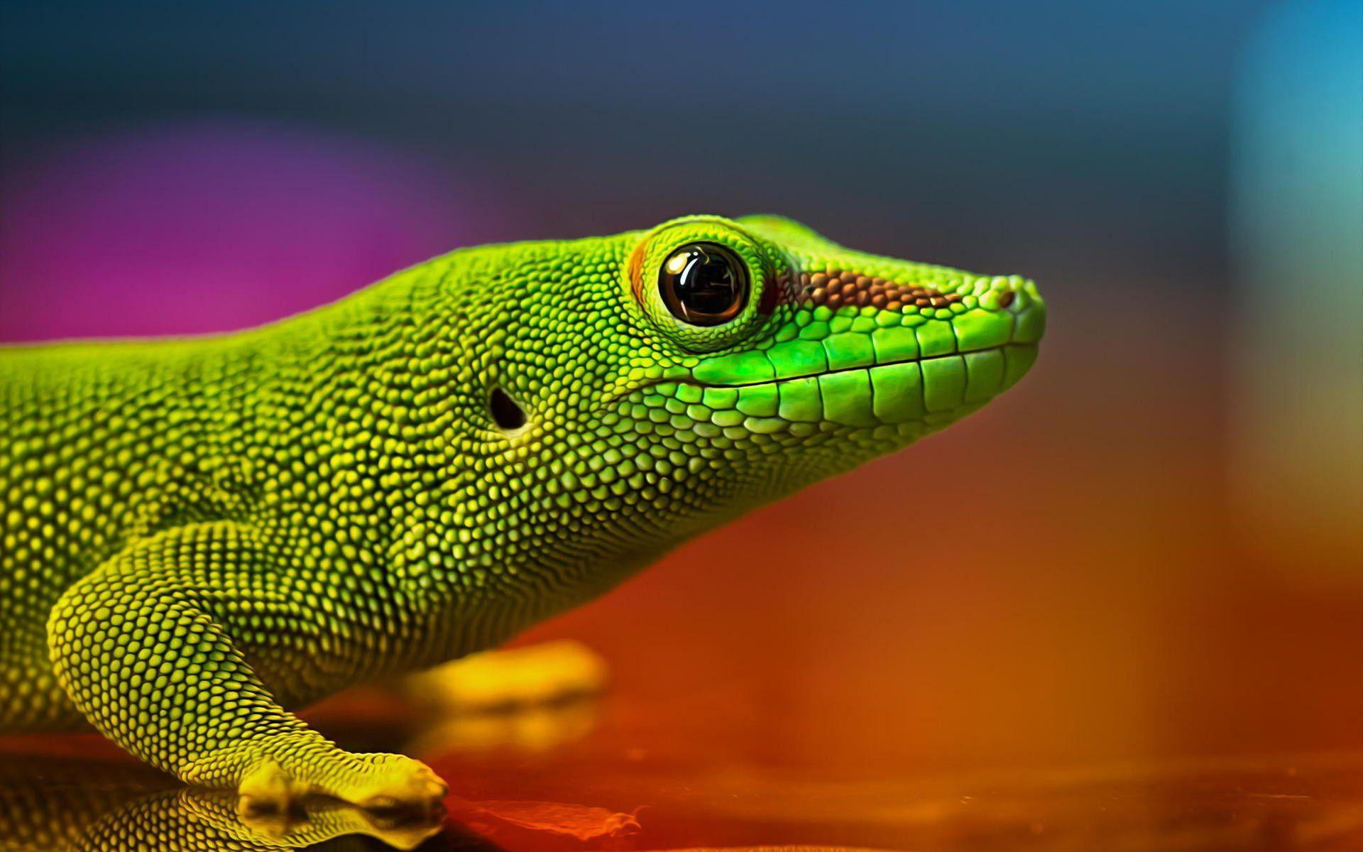 1920x1200 4k Ultra HD Best High Definition