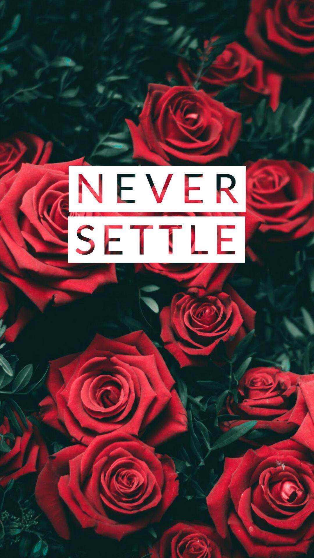 1080x1920 Never Settle Wallpaper Collection