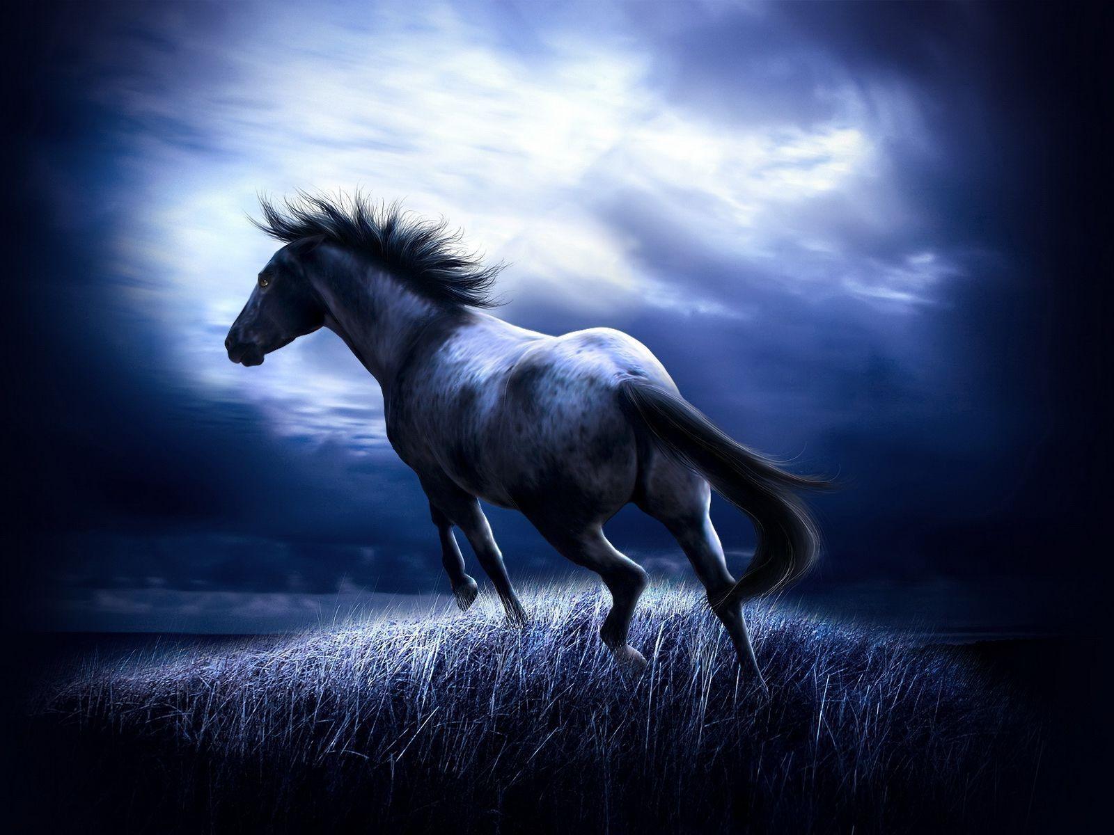 1600x1200 Horse drawing wallpaper and image, picture, photo