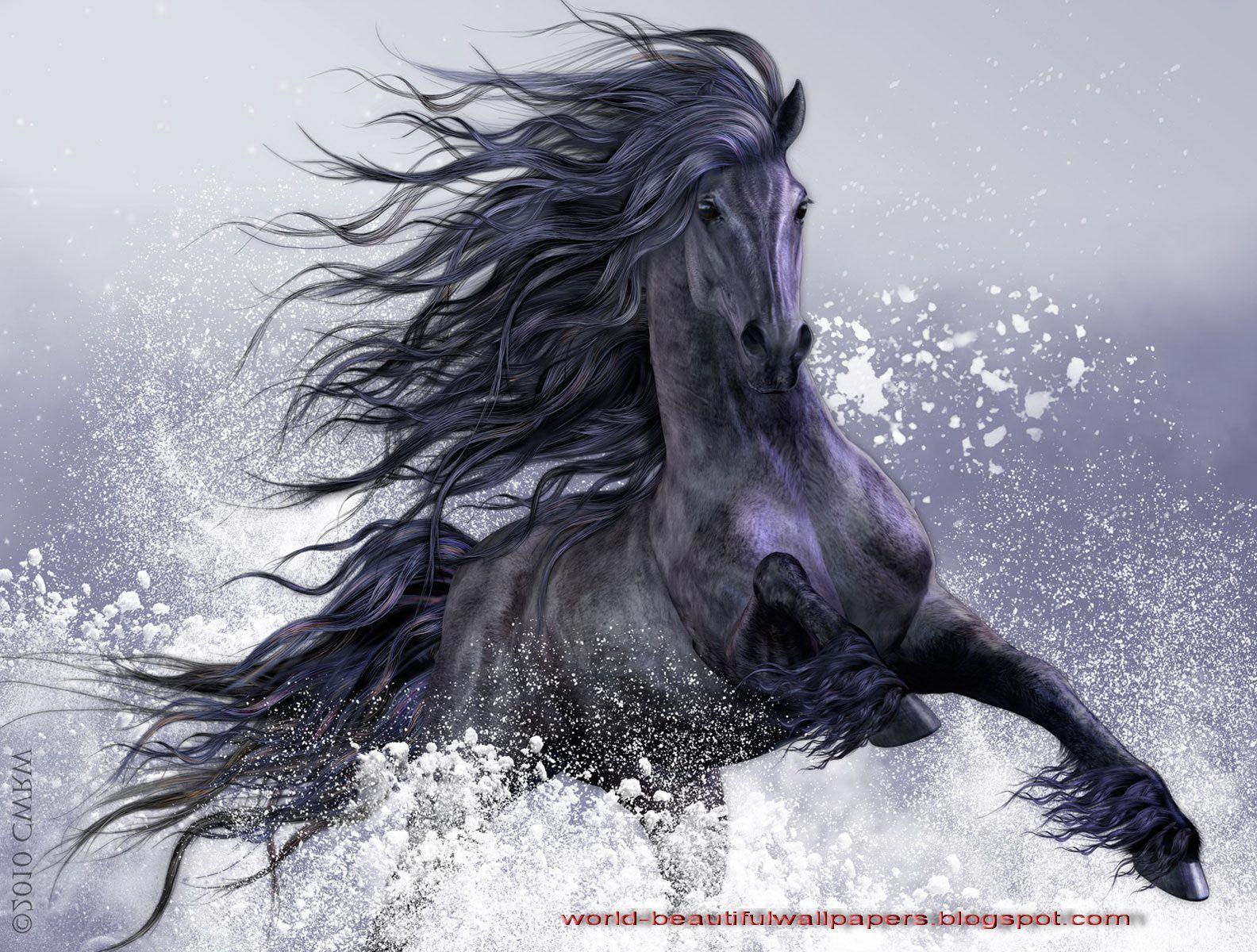 Friesian Horse Wallpapers - Top Free Friesian Horse Backgrounds