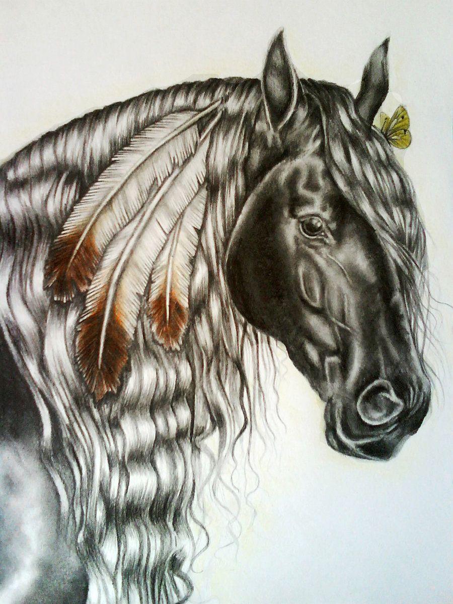 Horse Drawing Wallpapers Top Free Horse Drawing Backgrounds