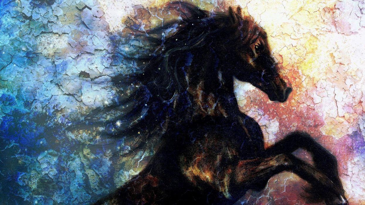 1244x700 Art oil painting drawing Pretty Black Horse Wall Art wallpaper