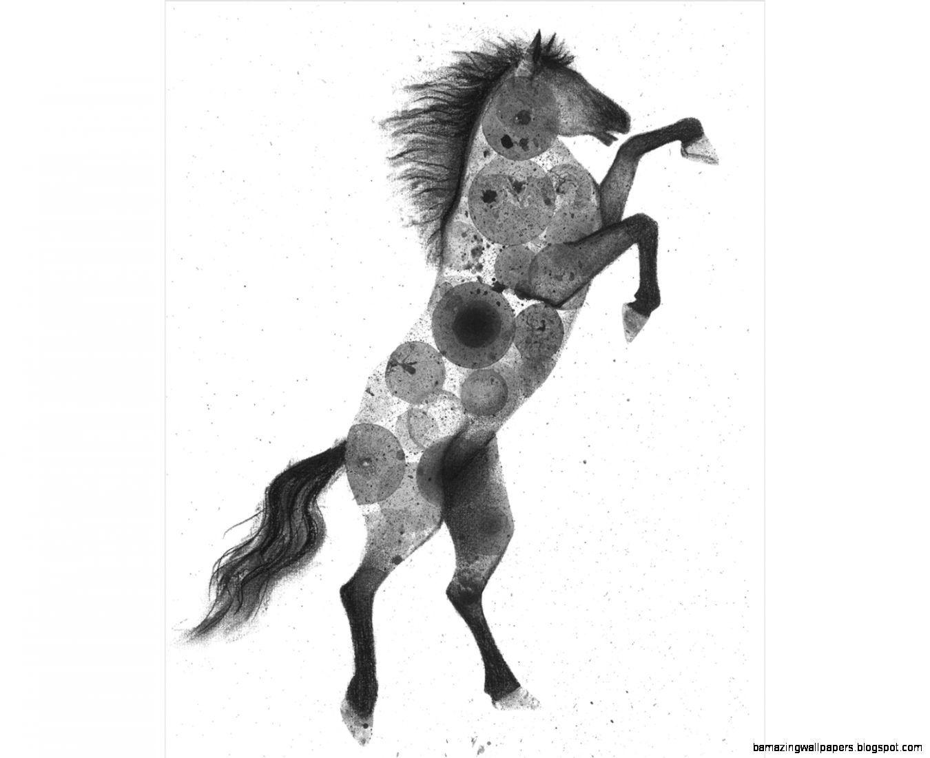 Horse Drawing Wallpapers Top Free Horse Drawing Backgrounds