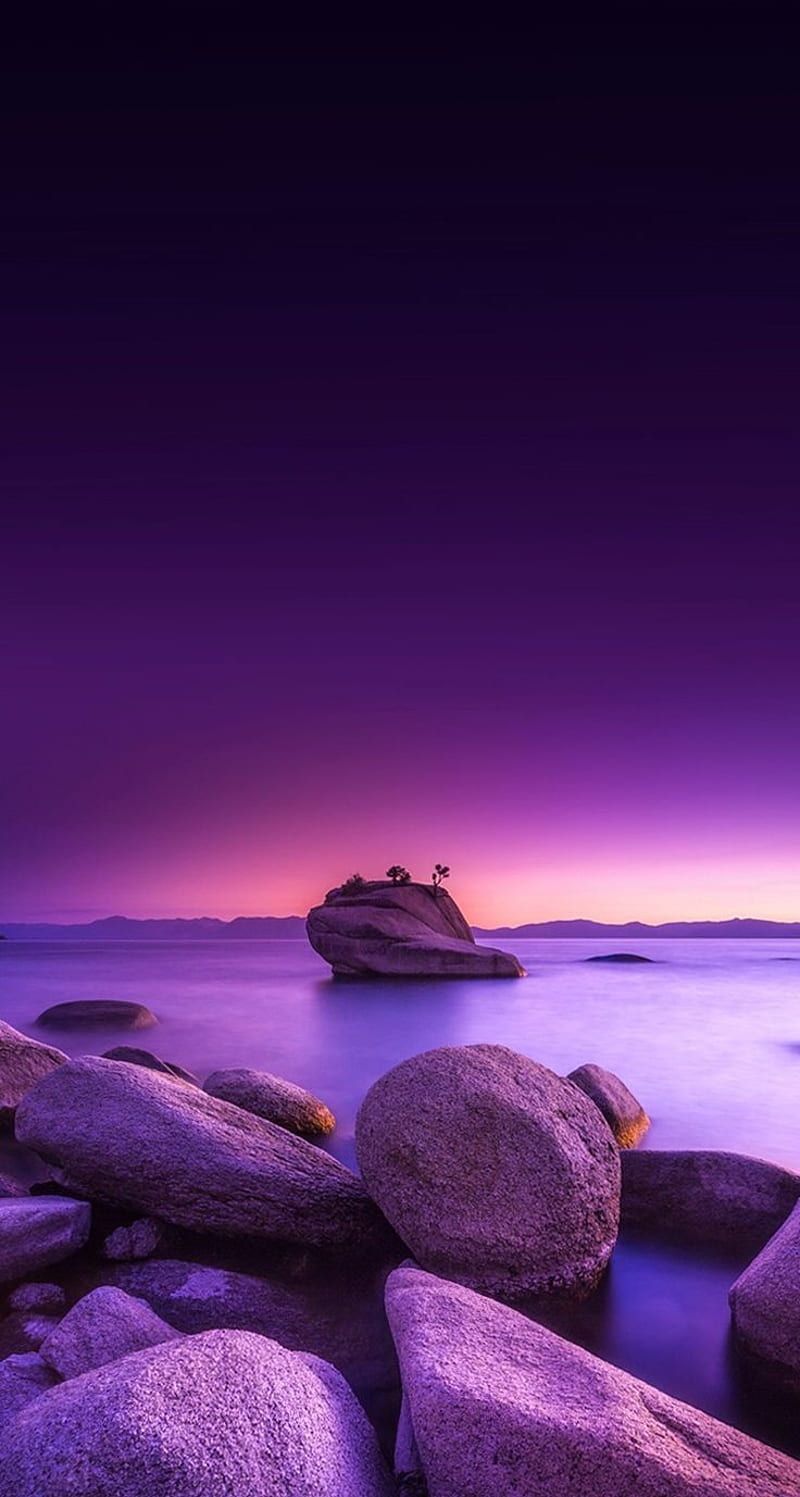800x1497 HD purple wallpaper